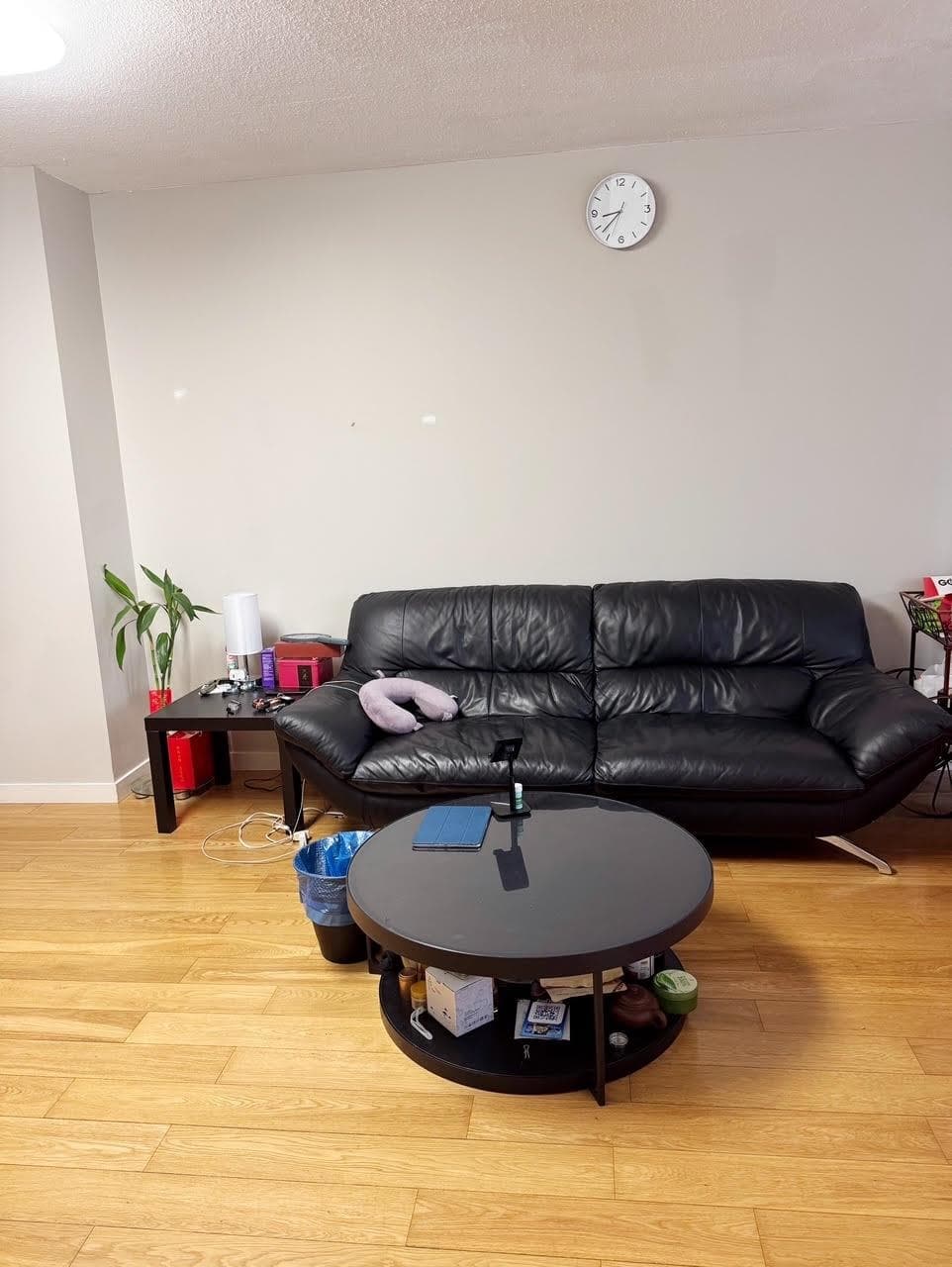 509 - 7888 Saba Road, Richmond, V6Y 0A2 — photo 5