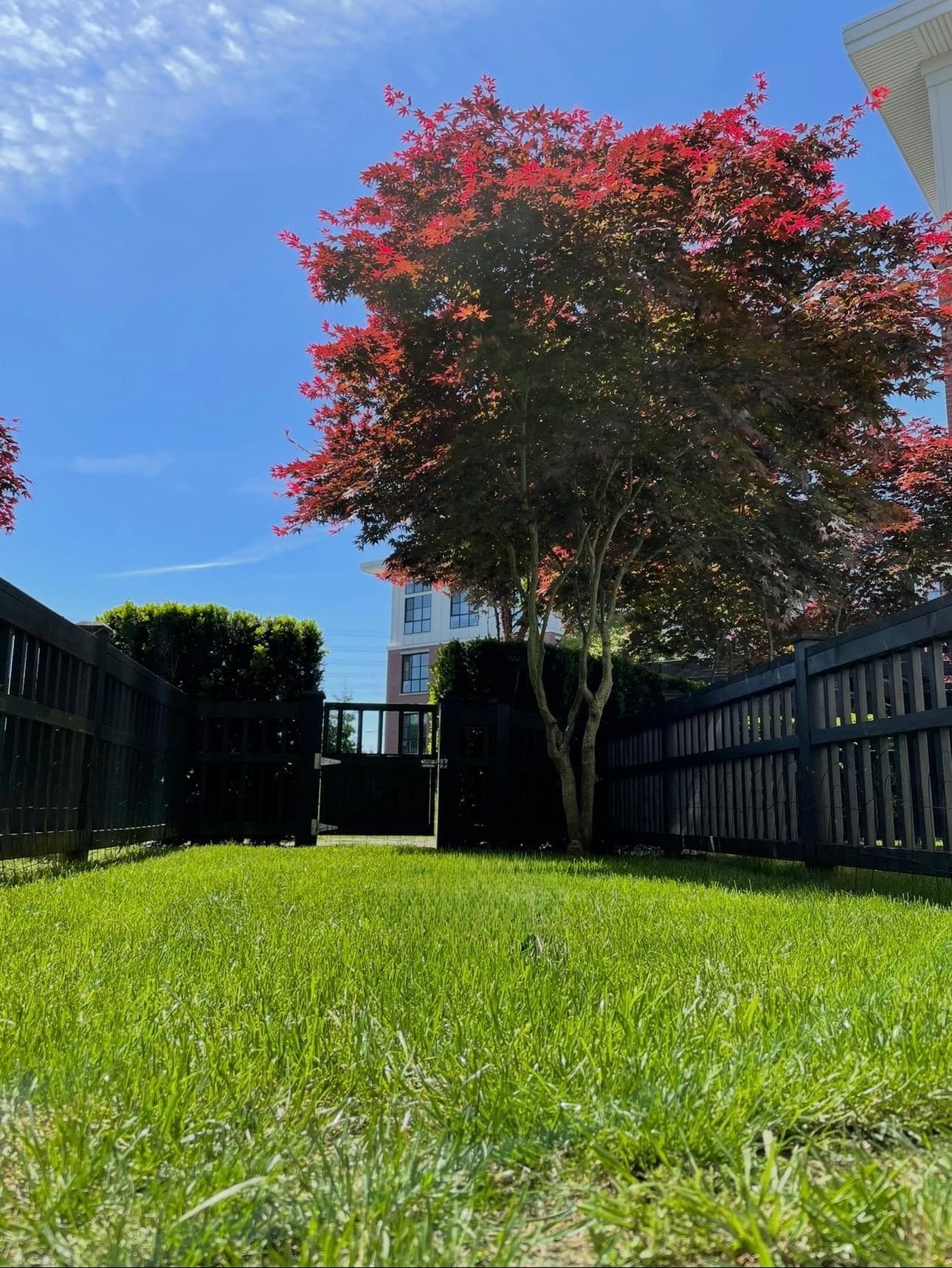 132 - 15168 33 Avenue, Surrey, V3Z 0N7 — photo 3
