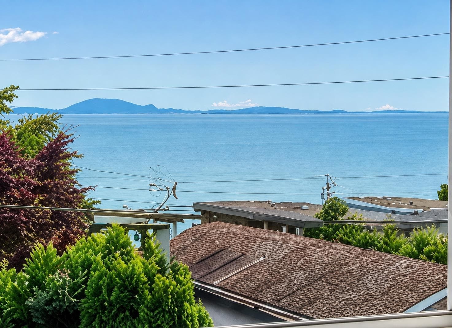 204 - 15176 Buena Vista Avenue, White Rock, V4B 1Y3 — photo 5