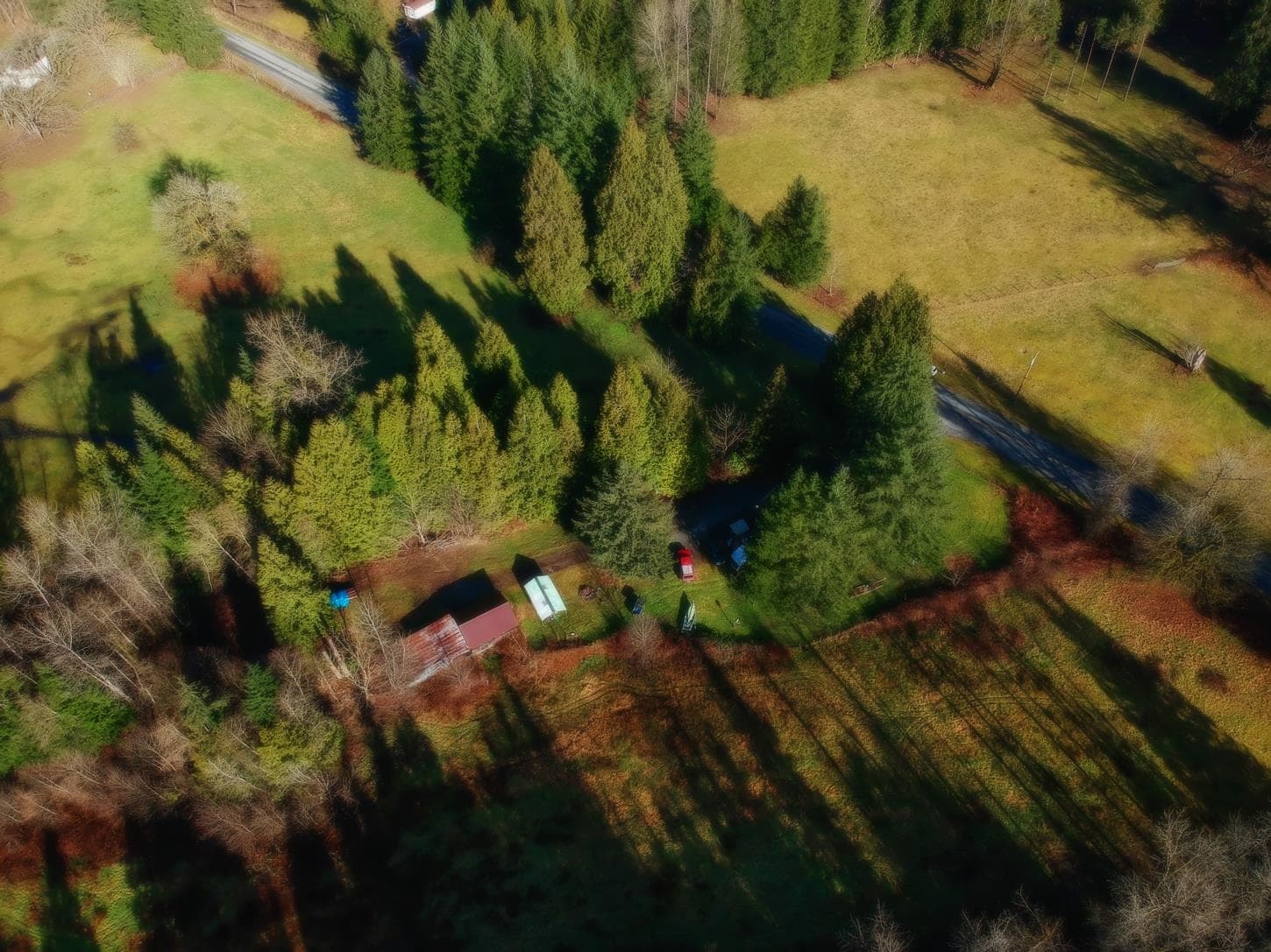 14157 Sylvester Road, Mission, V2V 0B1 — photo 5