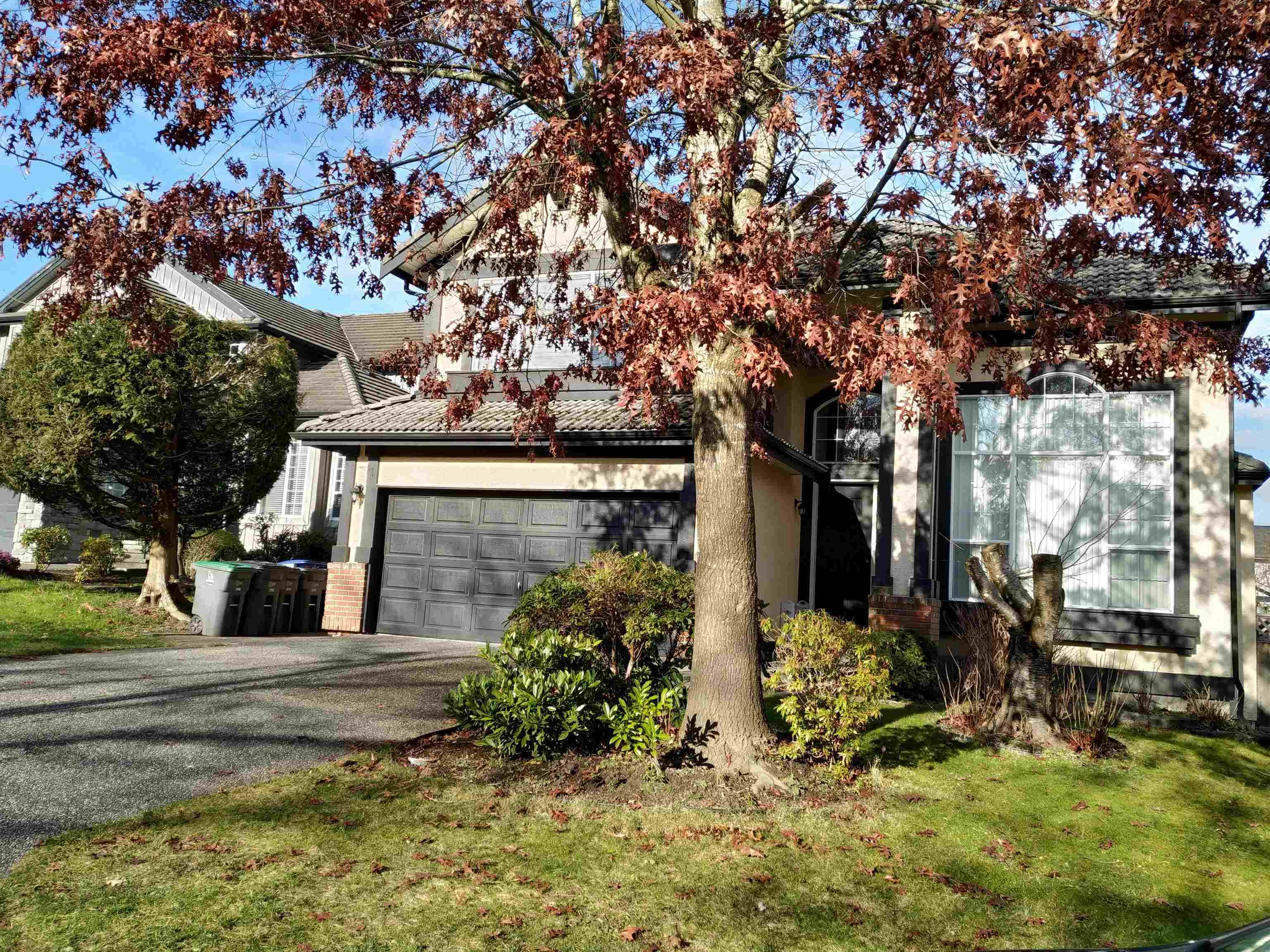 Basement - 16909 83a Avenue, Surrey
