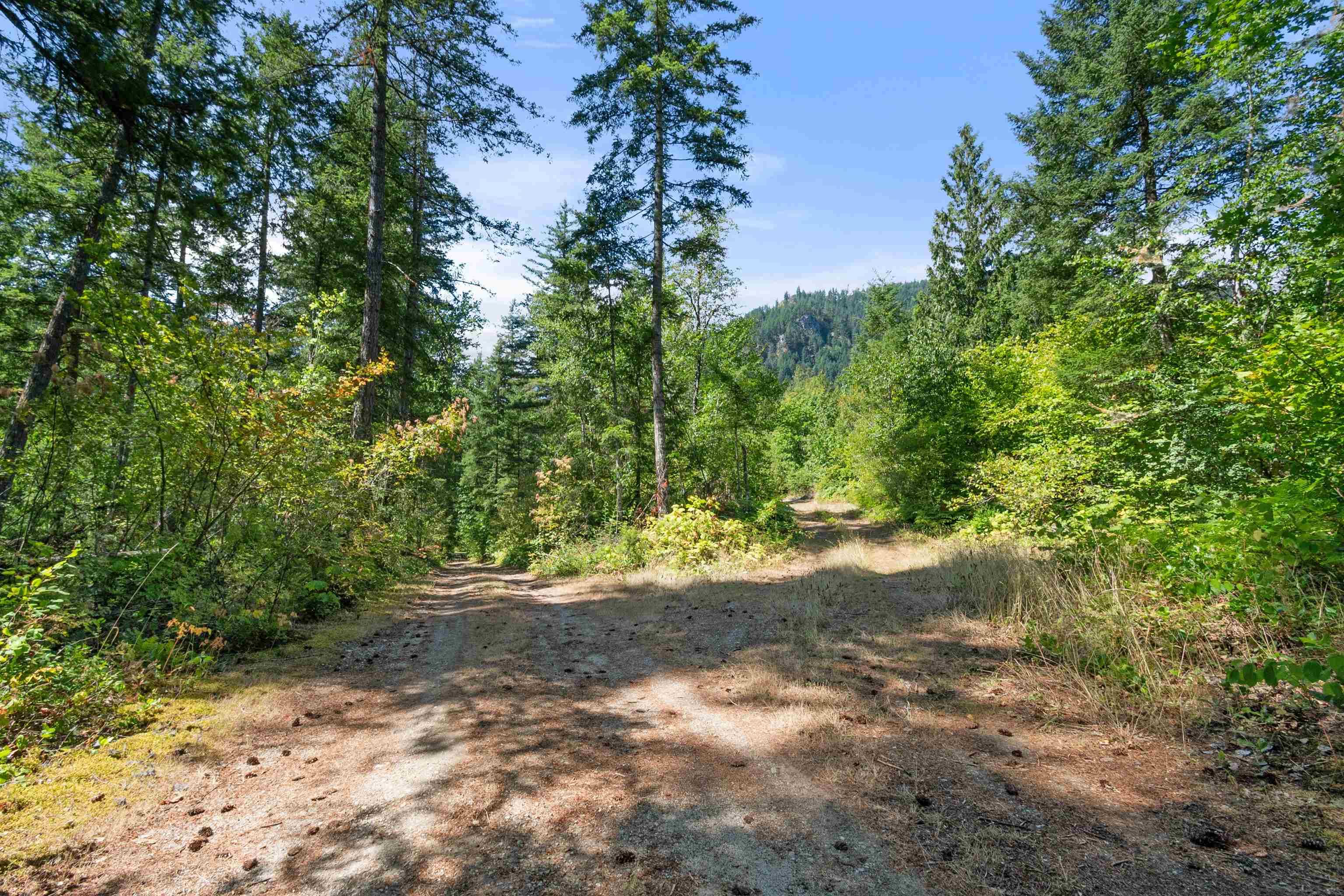 65356 Wotten Road, Hope, V0X 1L3 — photo 3