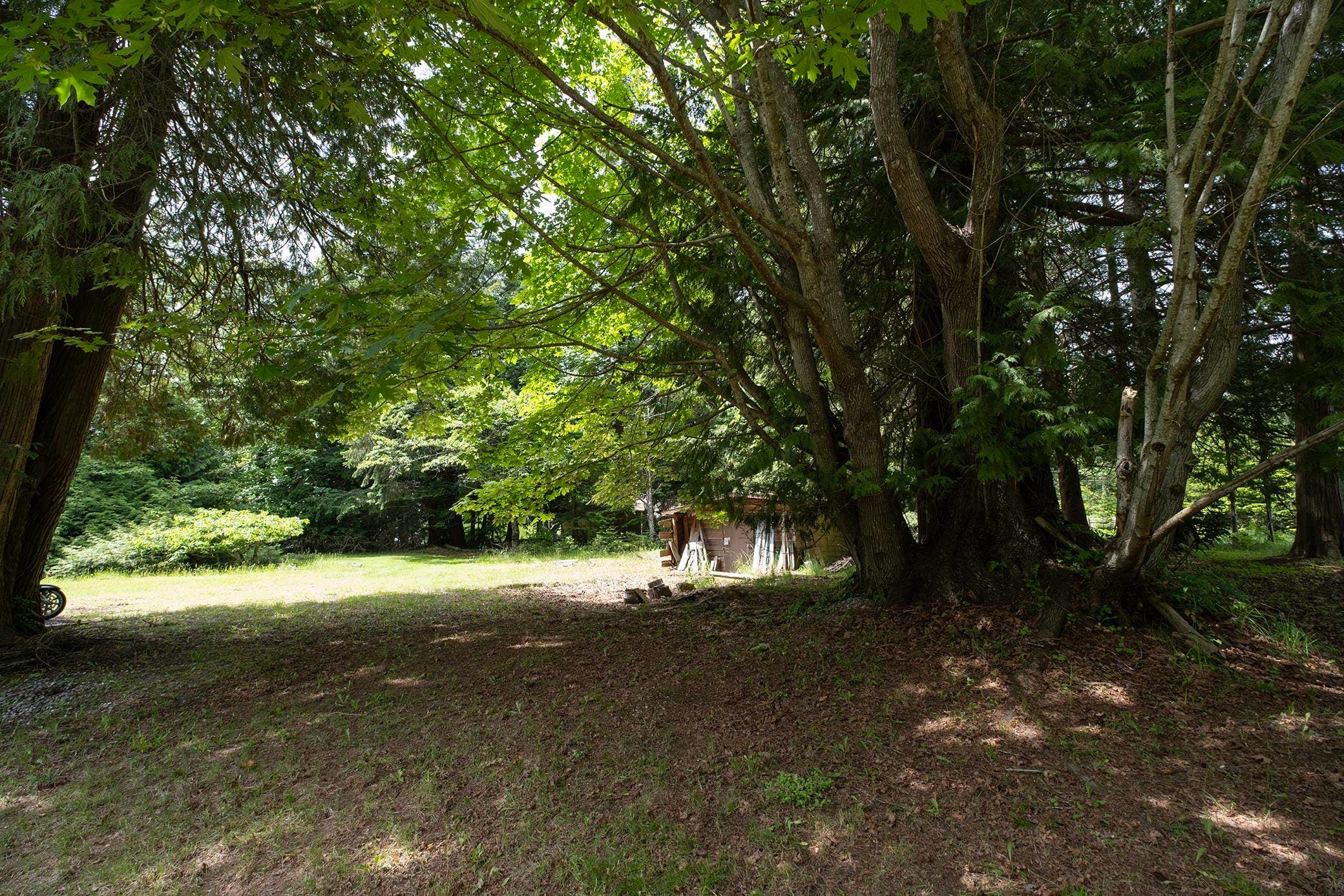 8127 Redrooffs Road, Halfmoon Bay, V7Z 1A7 — photo 4