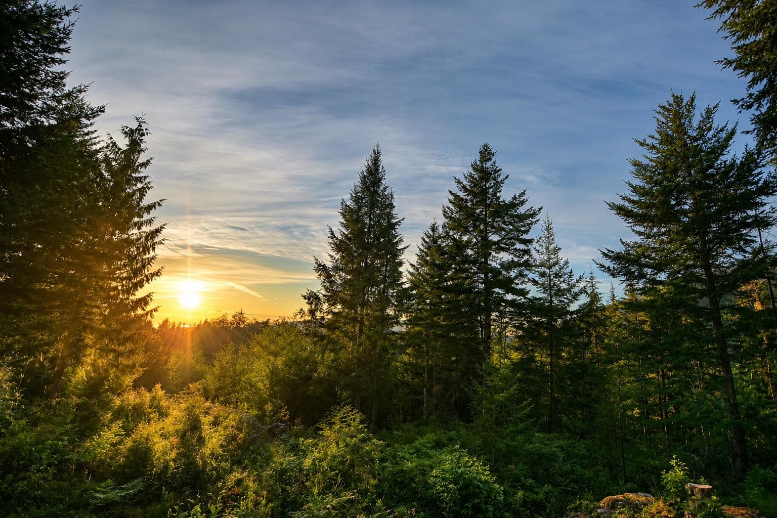 431 Sunset Road, Bowen Island, V0N 1G2 — photo 5