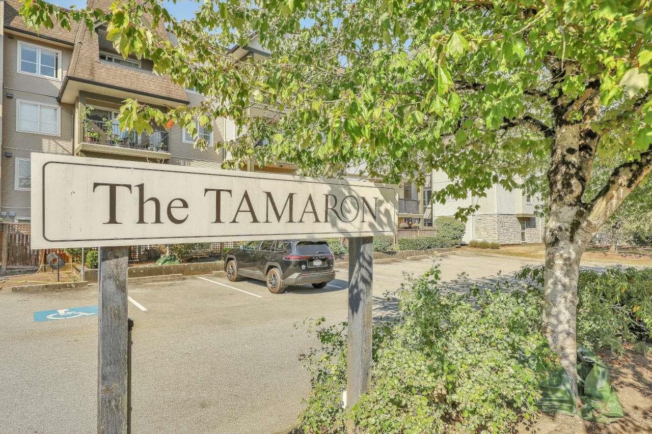 419 - 12083 92a Avenue, Surrey, V3V 8C8 — photo 1