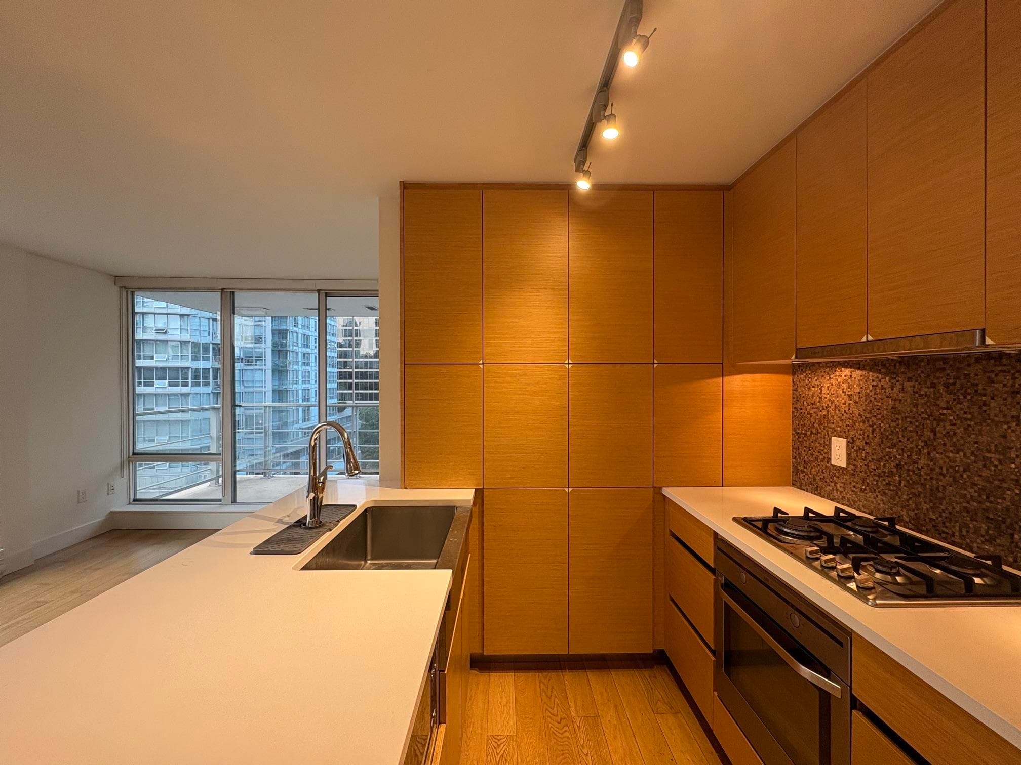 1205 - 565 Smithe Street, Vancouver