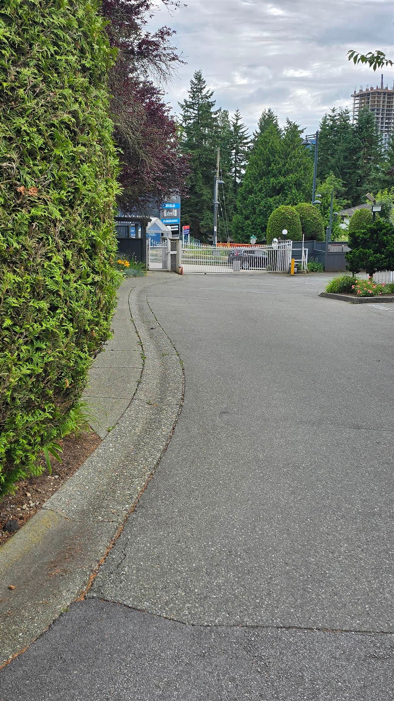 201 - 13863 100 Avenue, Surrey, V3T 5P5 — photo 5