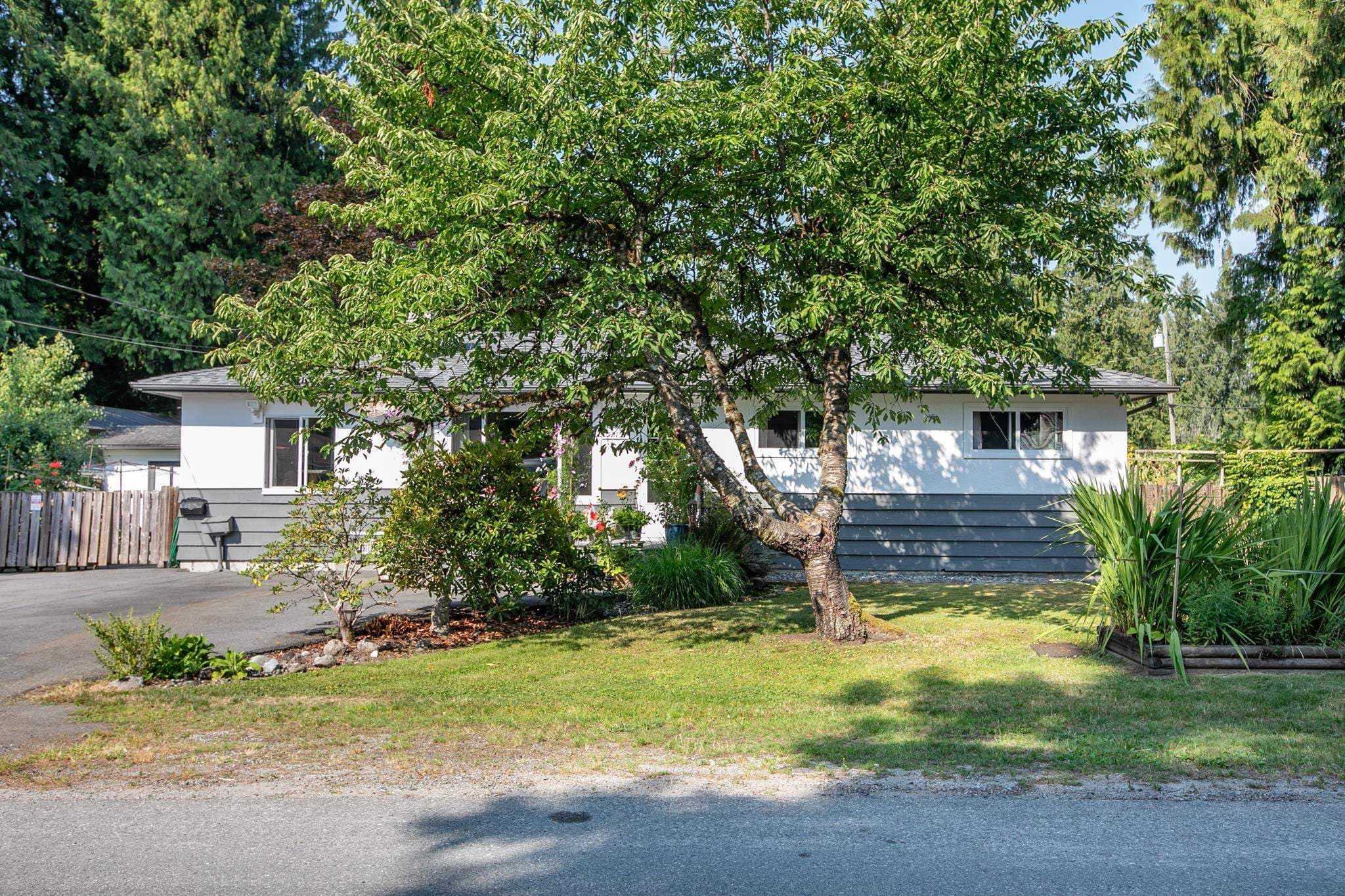 12157 250 Street, Maple Ridge, V4R 1H3 — photo 4