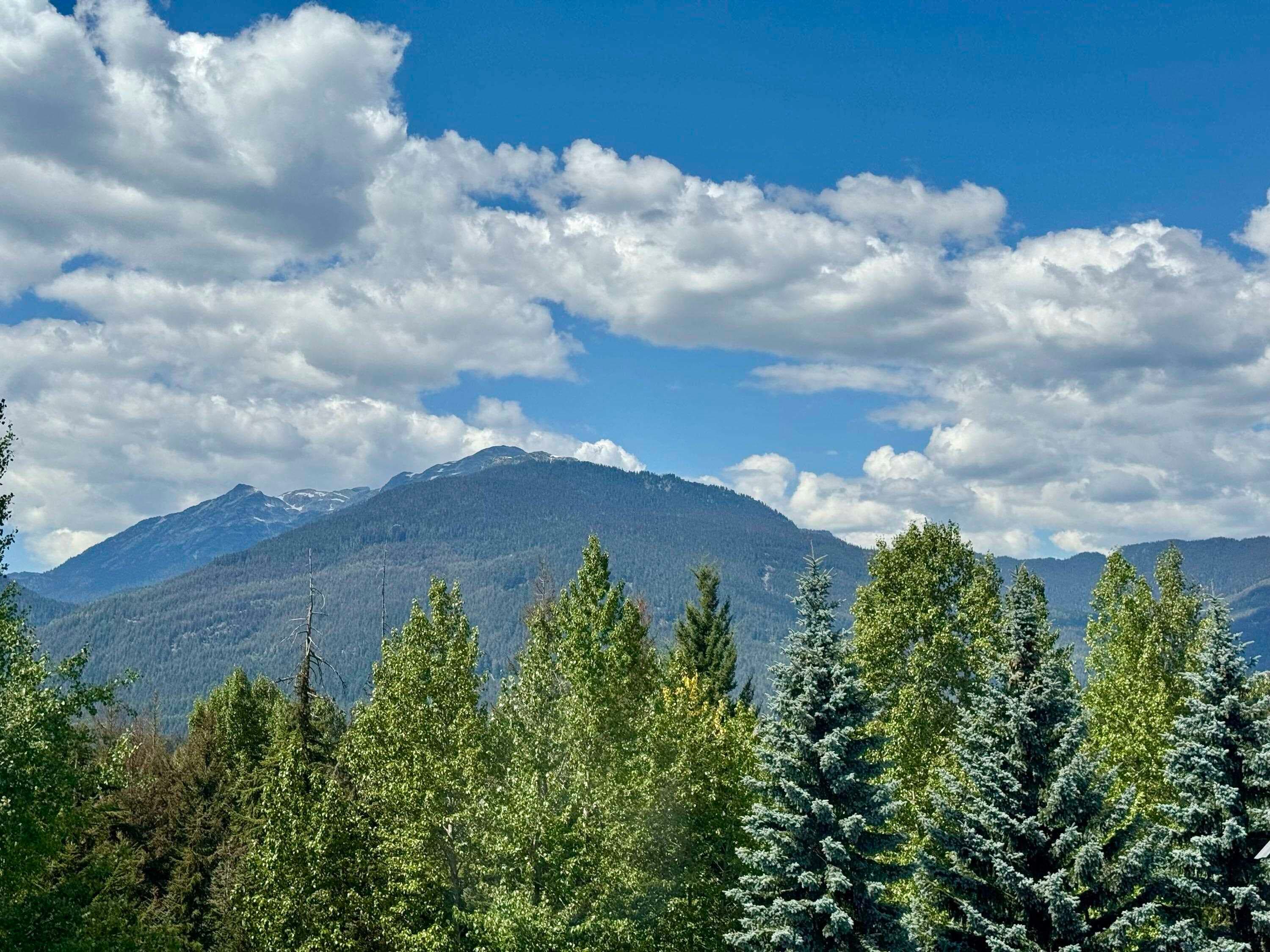 316 - 4749 Spearhead Drive, Whistler, V8E 1E9 — photo 5