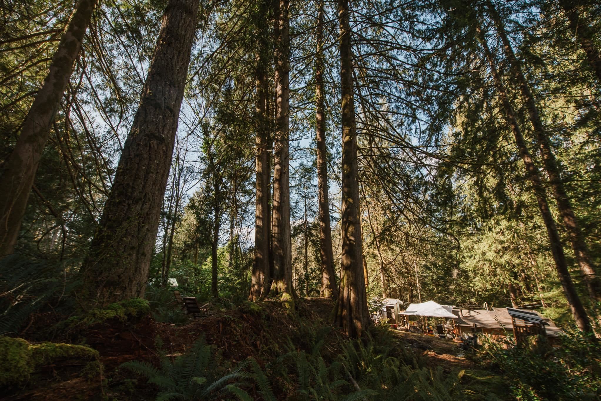 5735 Naylor Road, Sechelt, V7Z 0C7 — photo 2
