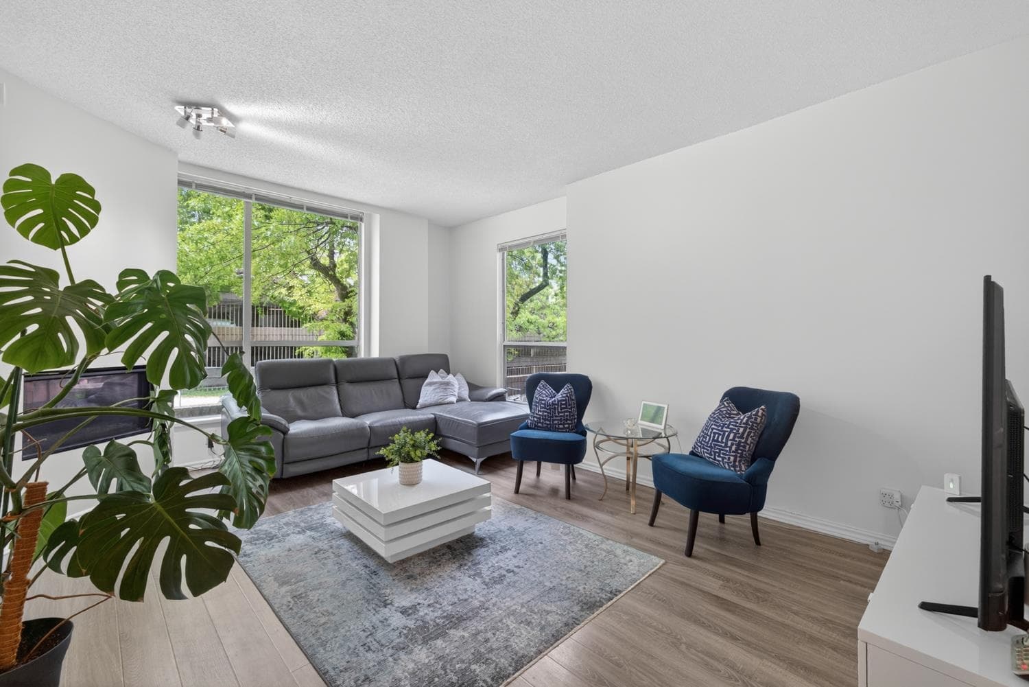 201 - 2668 Ash Street, Vancouver, V5Z 4K4 — photo 3