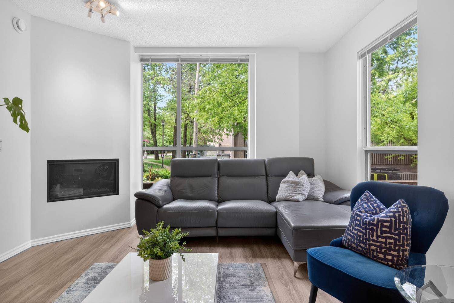 201 - 2668 Ash Street, Vancouver, V5Z 4K4 — photo 4