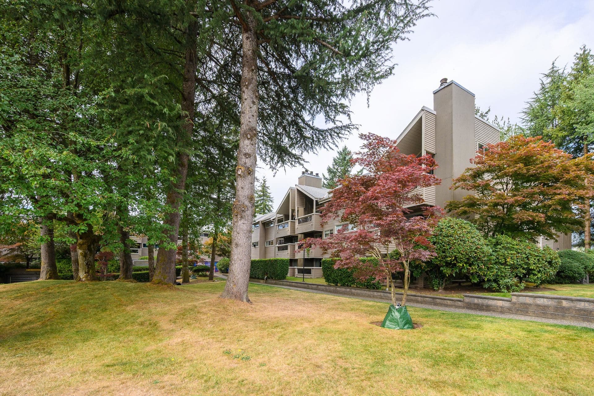 309 - 932 Robinson Street, Coquitlam, V3J 7R8 — photo 2