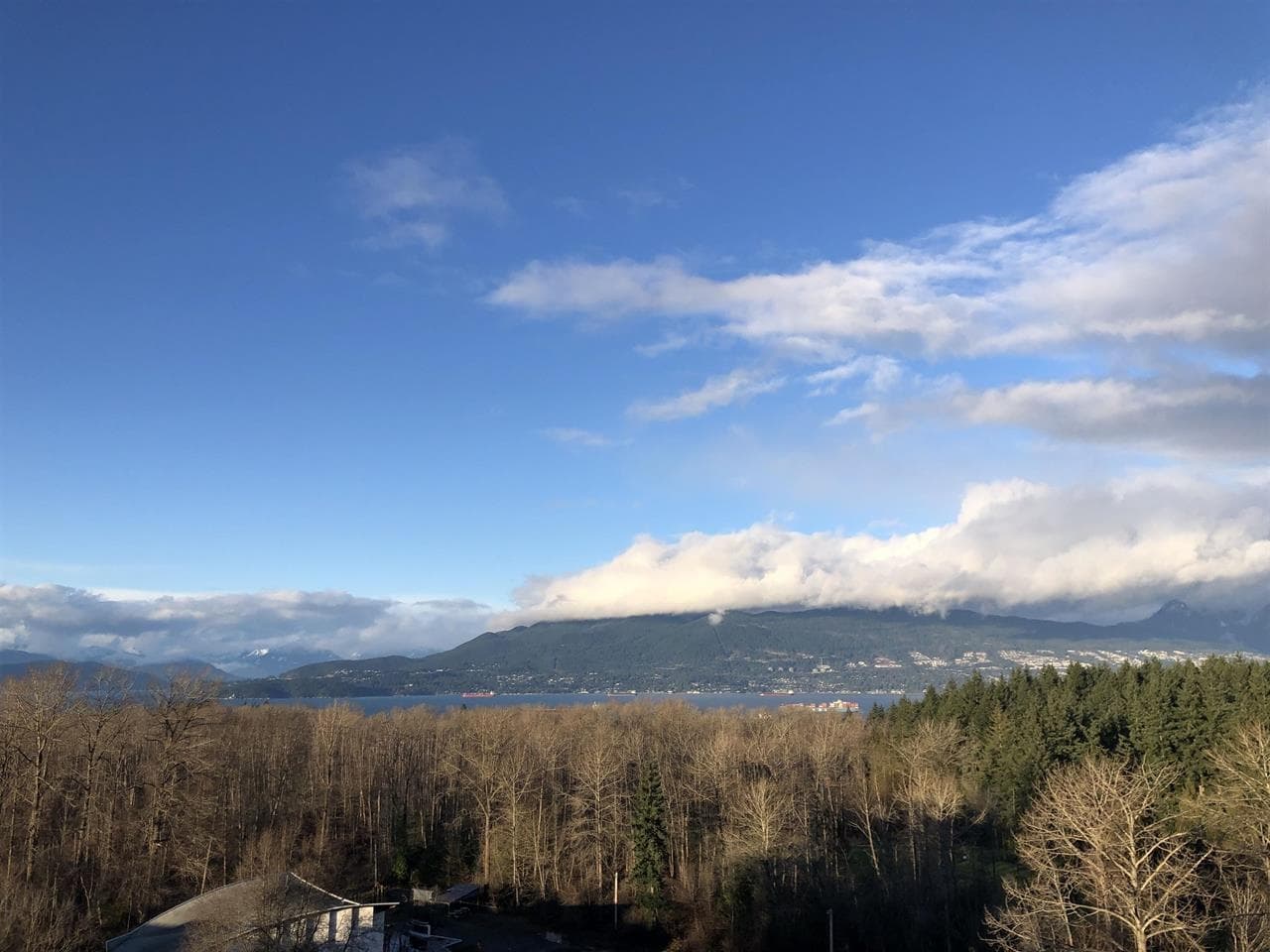 1303 - 5410 Shortcut Road, Vancouver, V6T 0C8 — photo 1