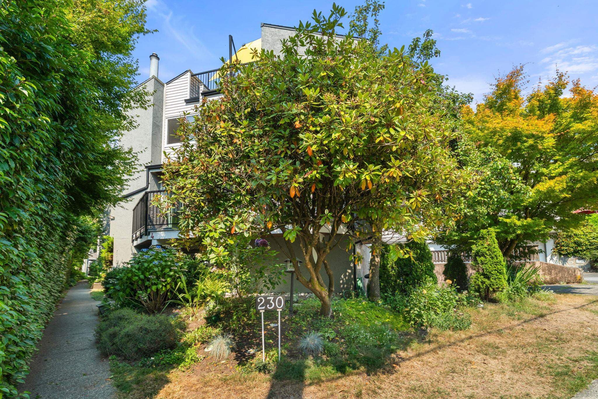 4 - 230 W 16th Street, North Vancouver, V7M 1T6 — photo 3