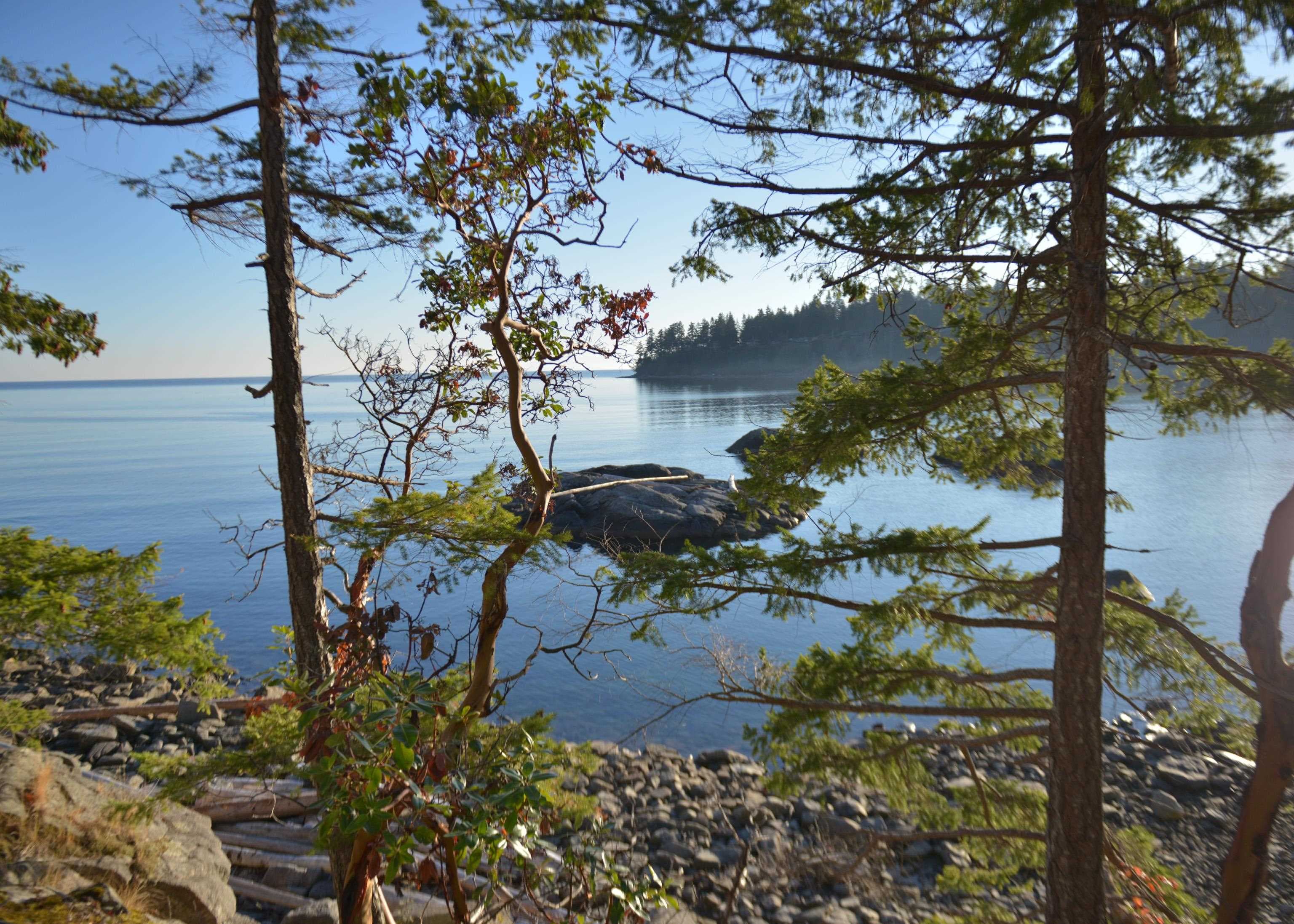 7643 Cove Beach Road, Halfmoon Bay, V7Z 1C3 — photo 5