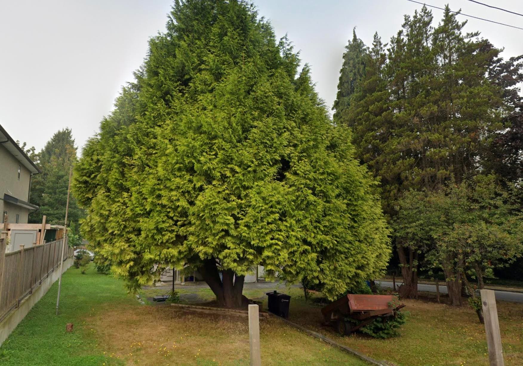 4910 Willingdon Avenue, Burnaby, V5G 3H8 — photo 3