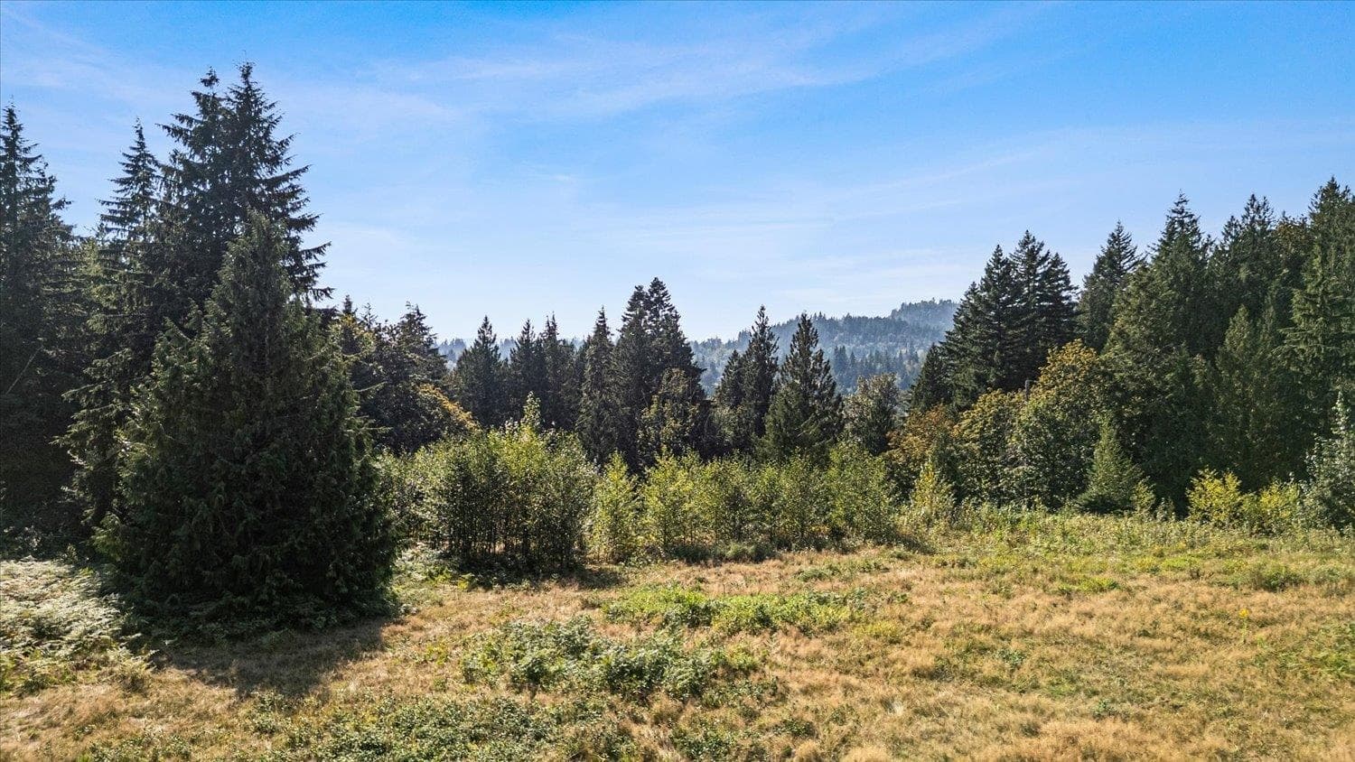 5175 Farnham Road, Ryder Lake, V4Z 1E7 — photo 3