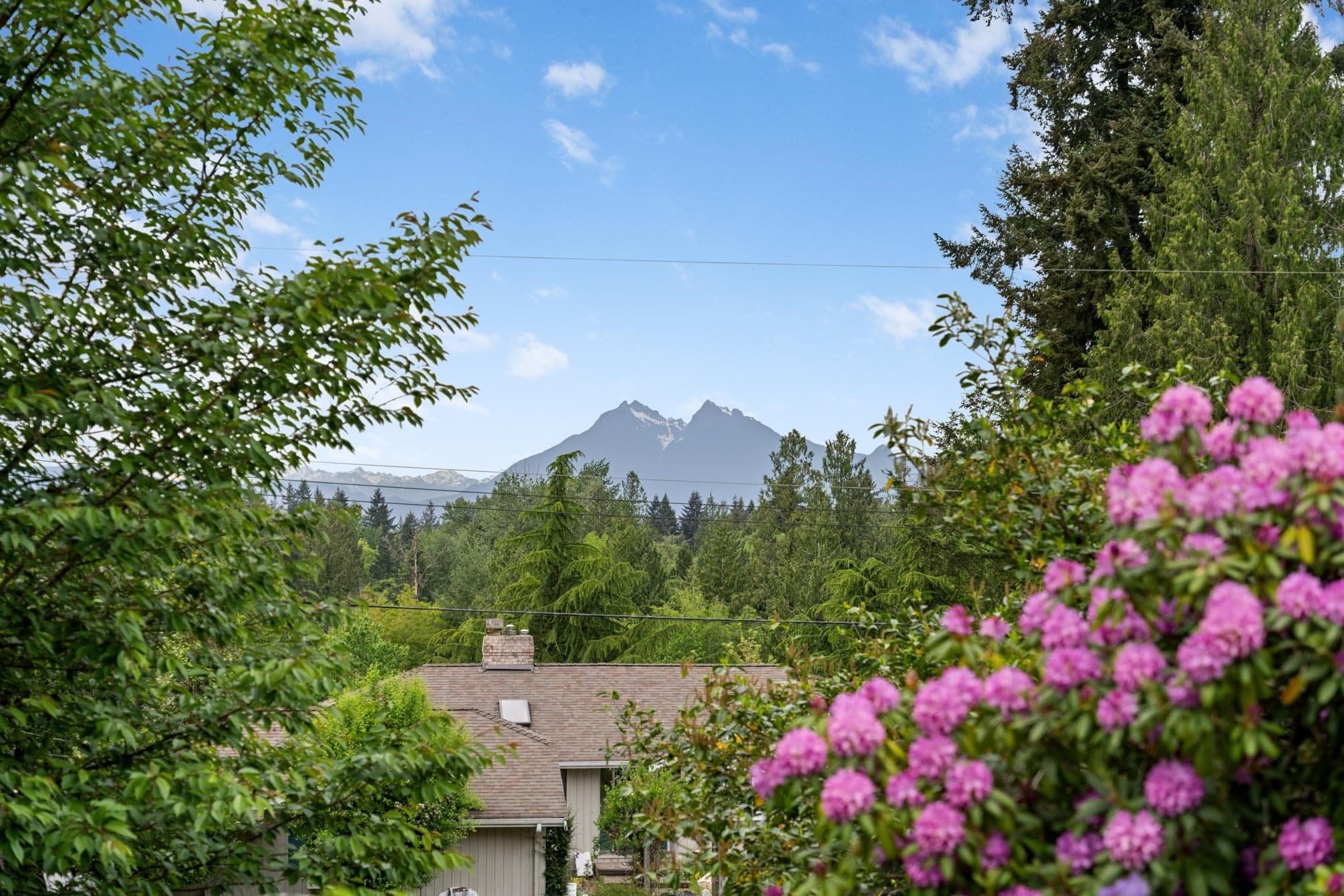 24244 60 Avenue, Langley, V3A 6H4 — photo 3