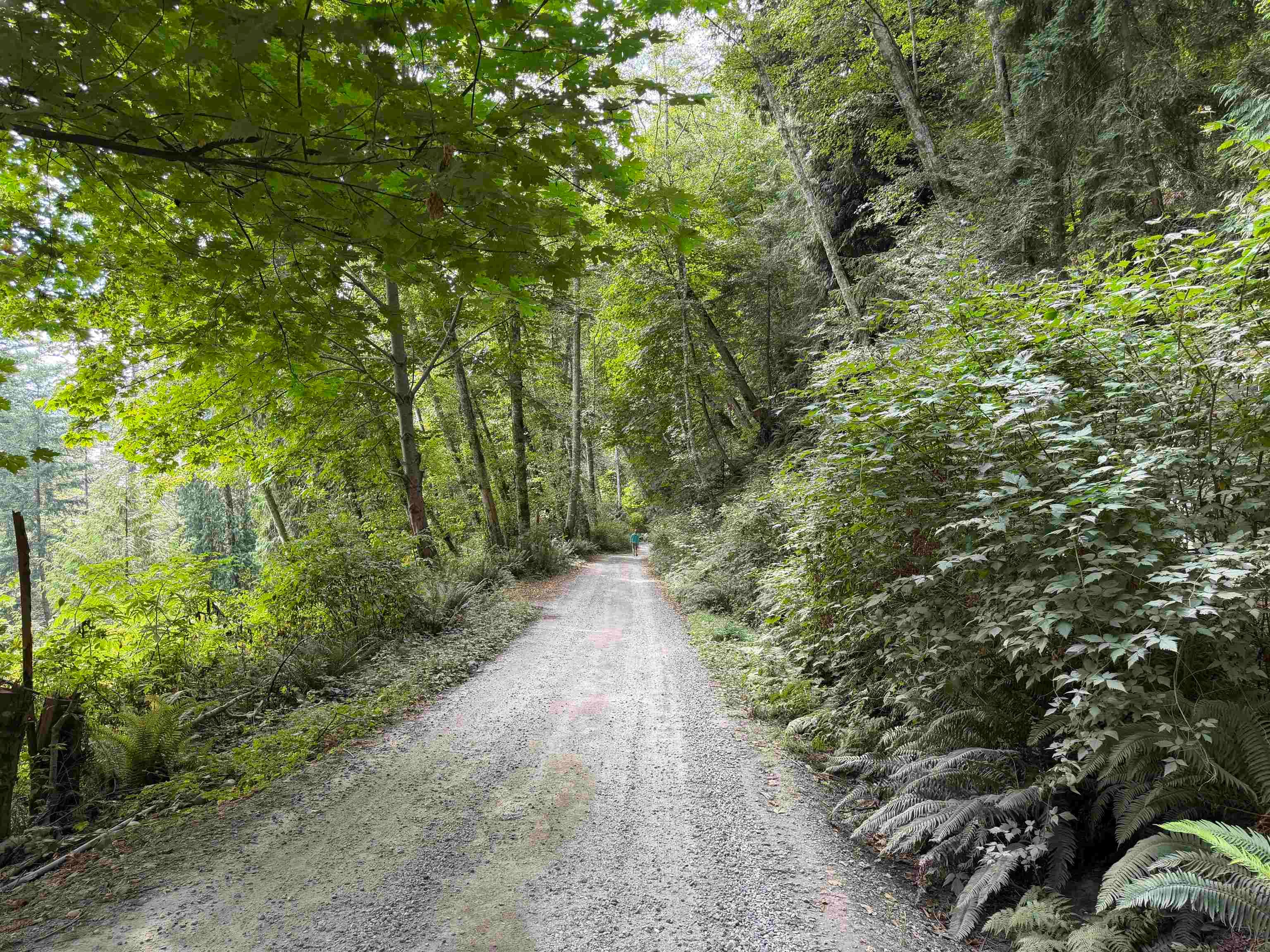 LOT 16 Hairy Elbow Road, Halfmoon Bay, V0N 3A0 — photo 3