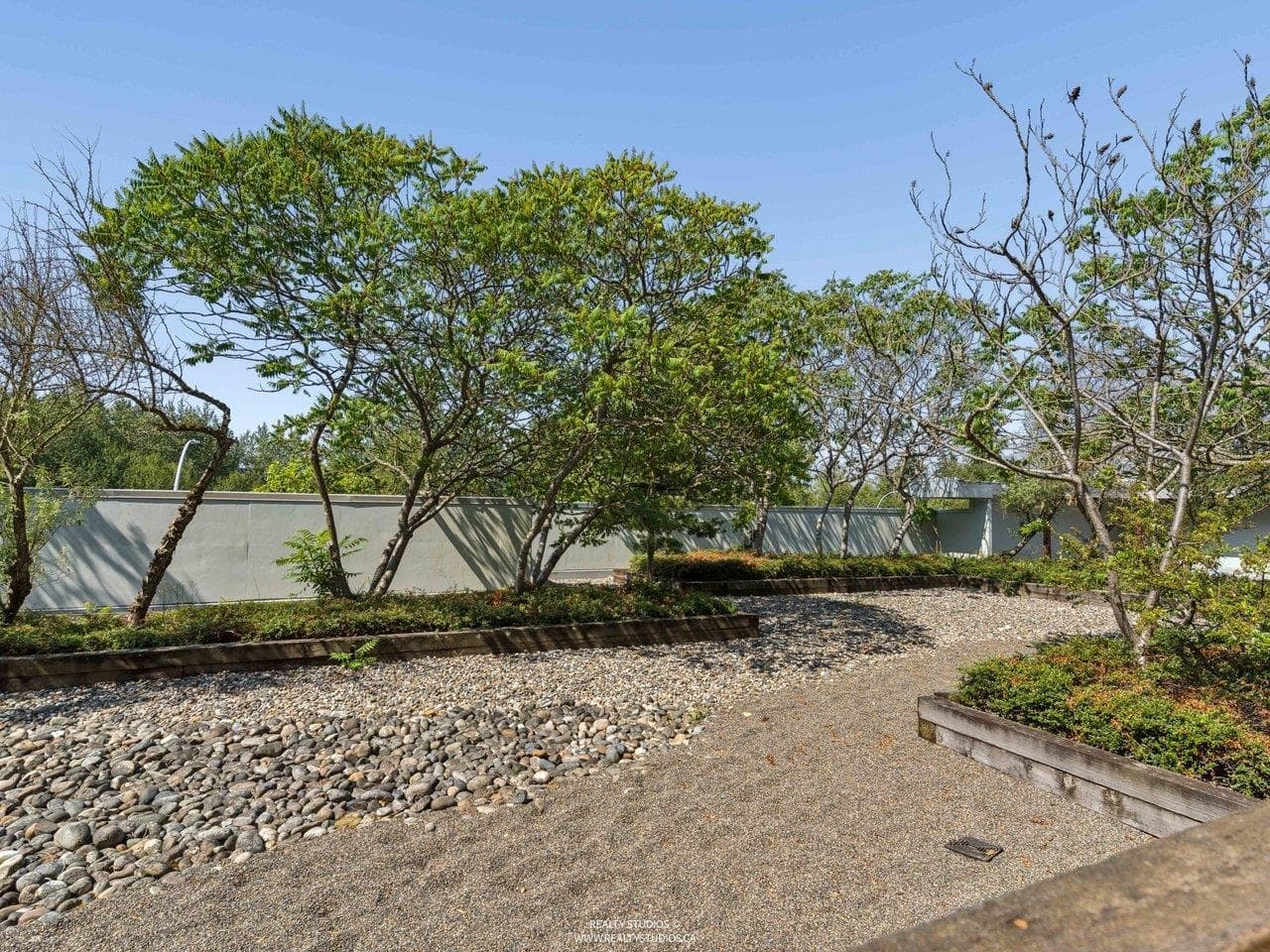 215 - 15735 Croydon Drive, Surrey, V3Z 2L5 — photo 5