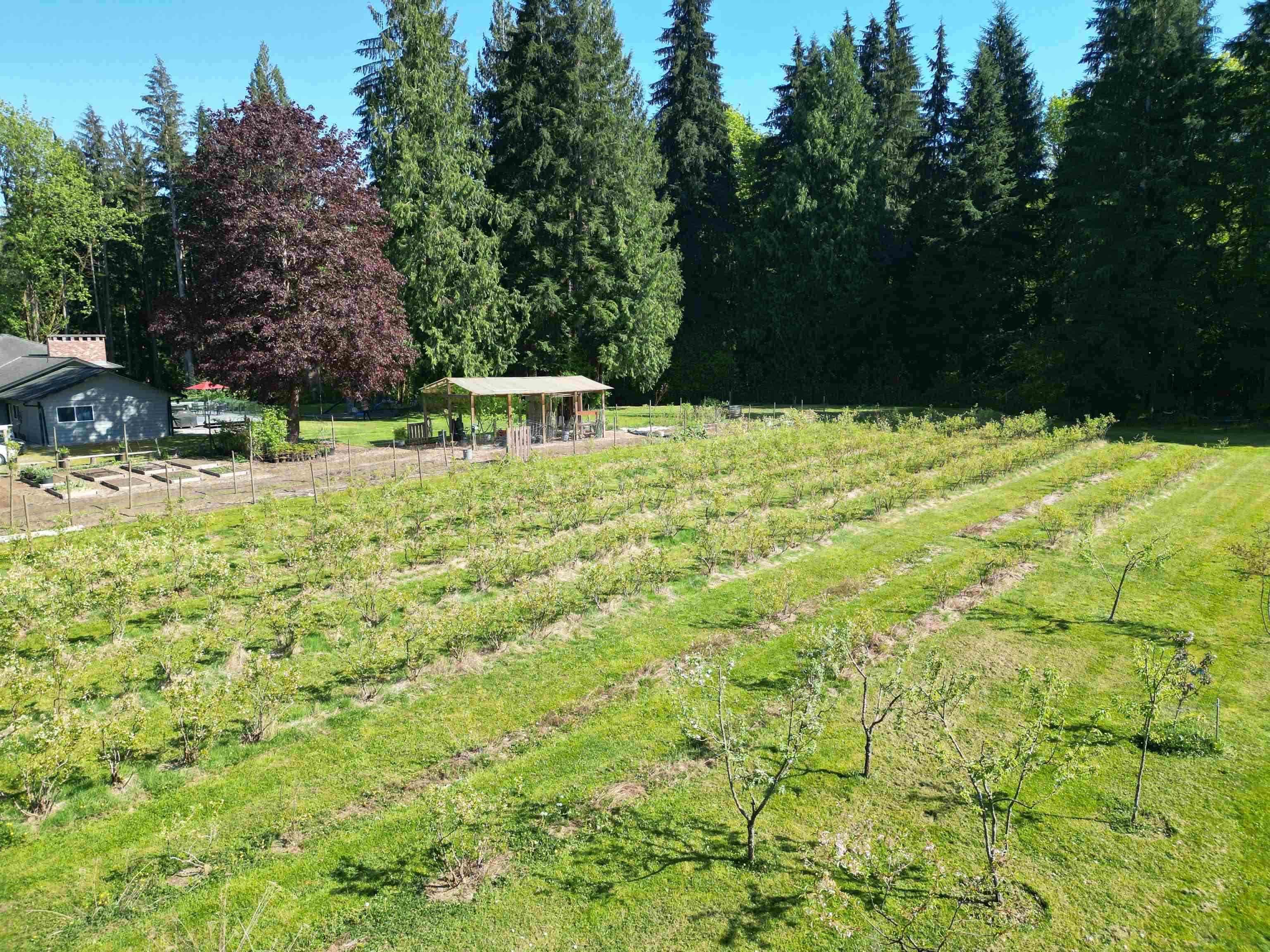 25908 124 Avenue, Maple Ridge, V4R 1B8 — photo 5