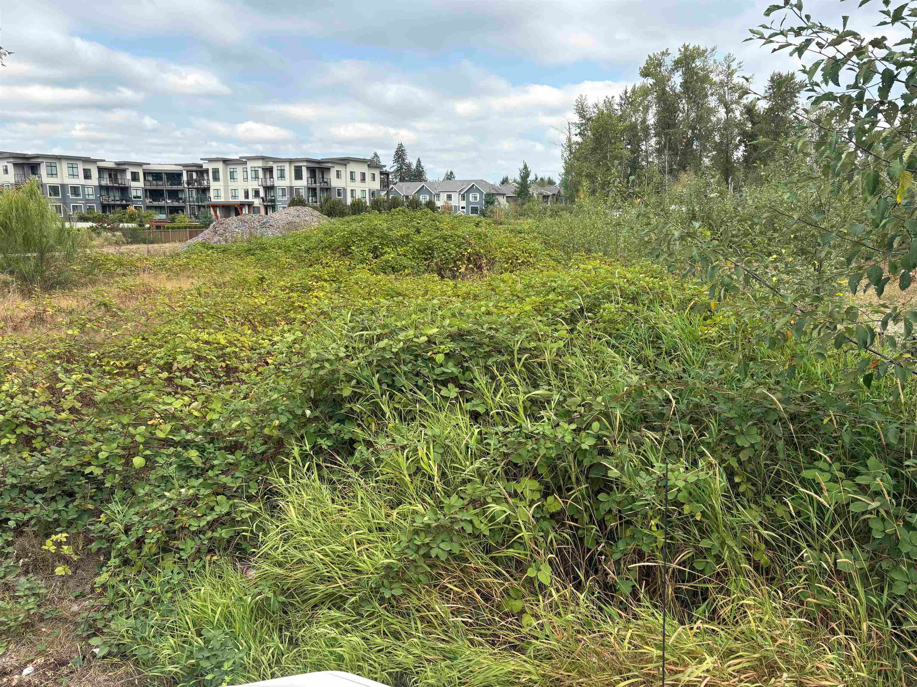 7235 204 Street, Langley, V2Y 1B1 — photo 1