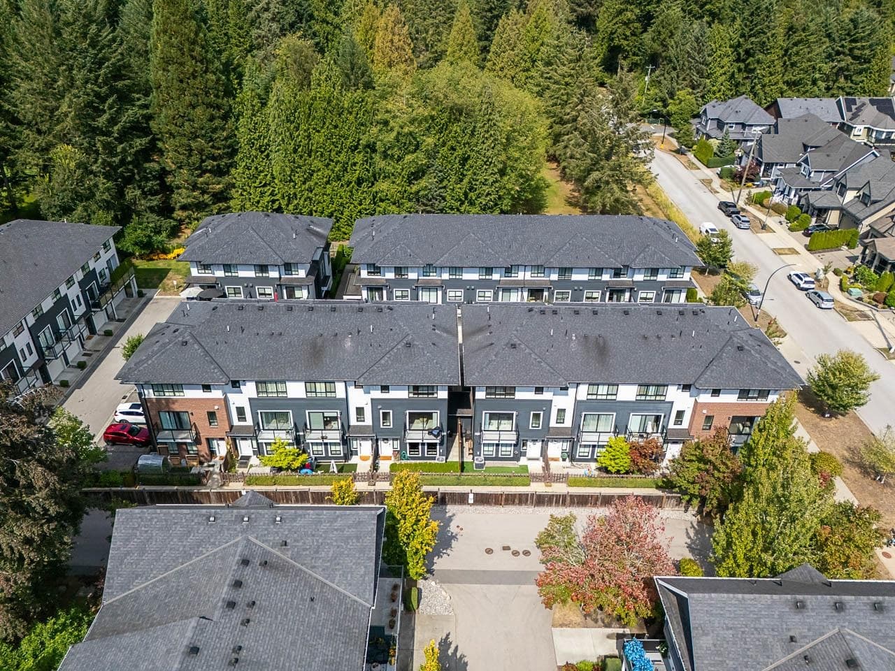 13 - 303 171 Street, Surrey, V3Z 9P4 — photo 2