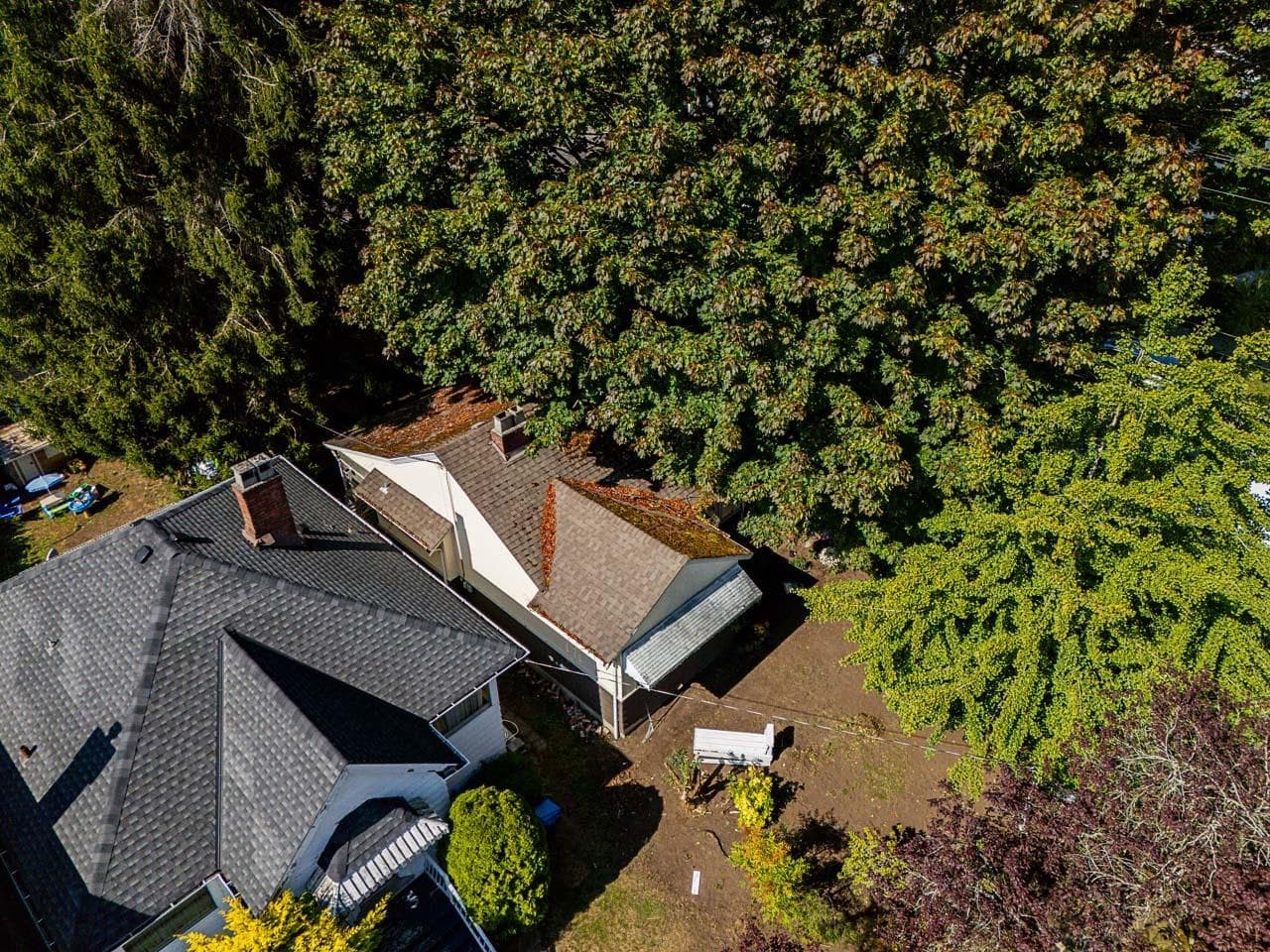970 W 64th Avenue, Vancouver, V6P 2M1 — photo 4