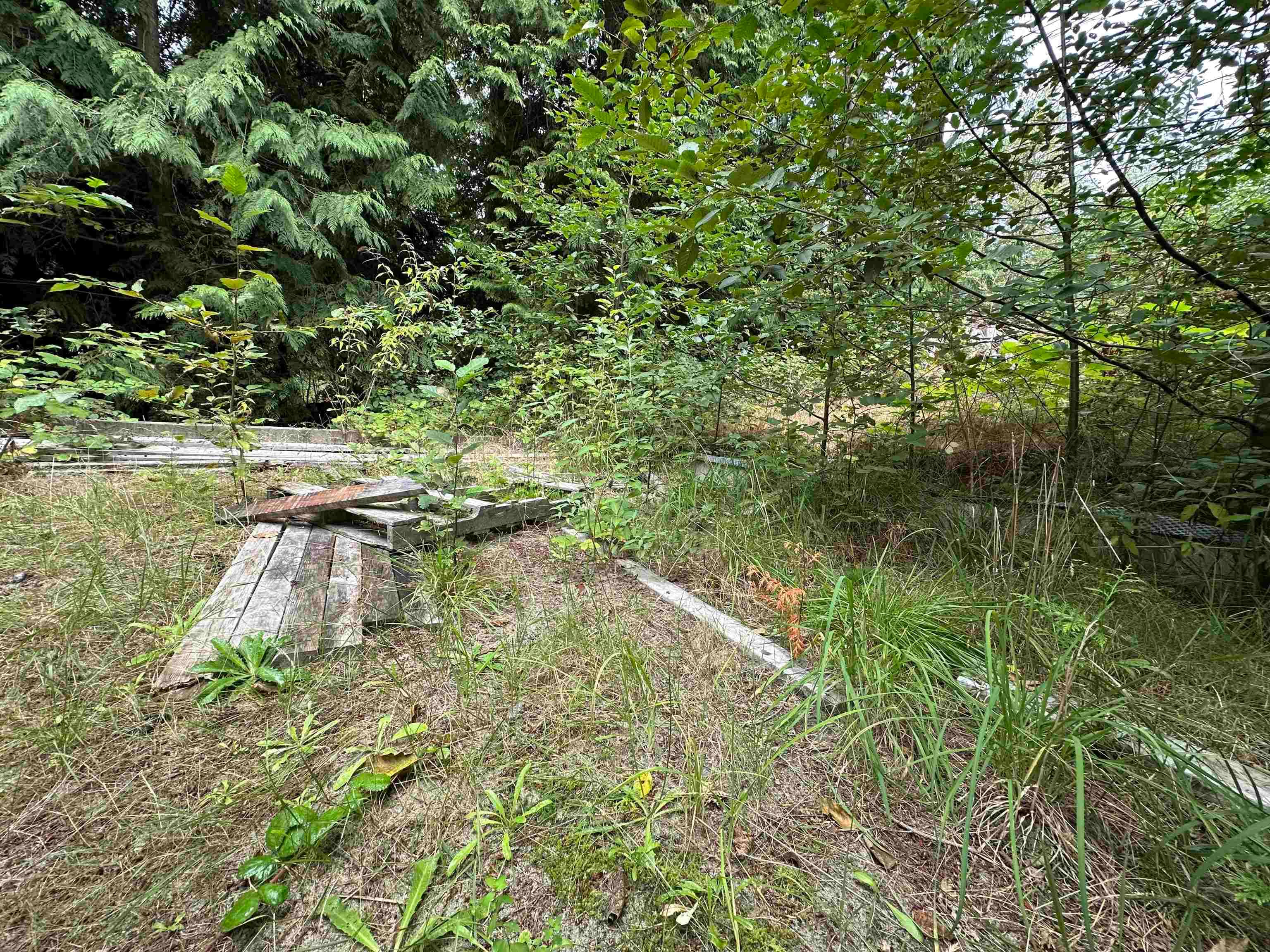 1815 Lower Road, Roberts Creek, V0N 2W6 — photo 1