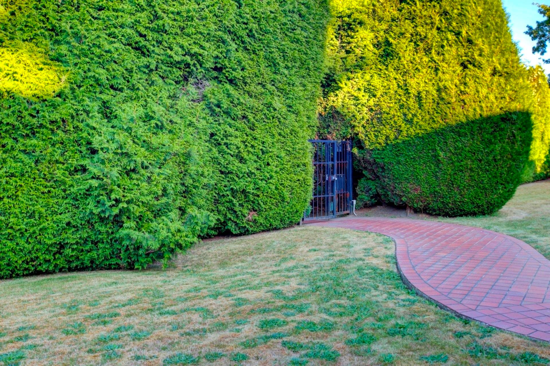 5275 Granville Street, Vancouver, V6M 3B9 — photo 5