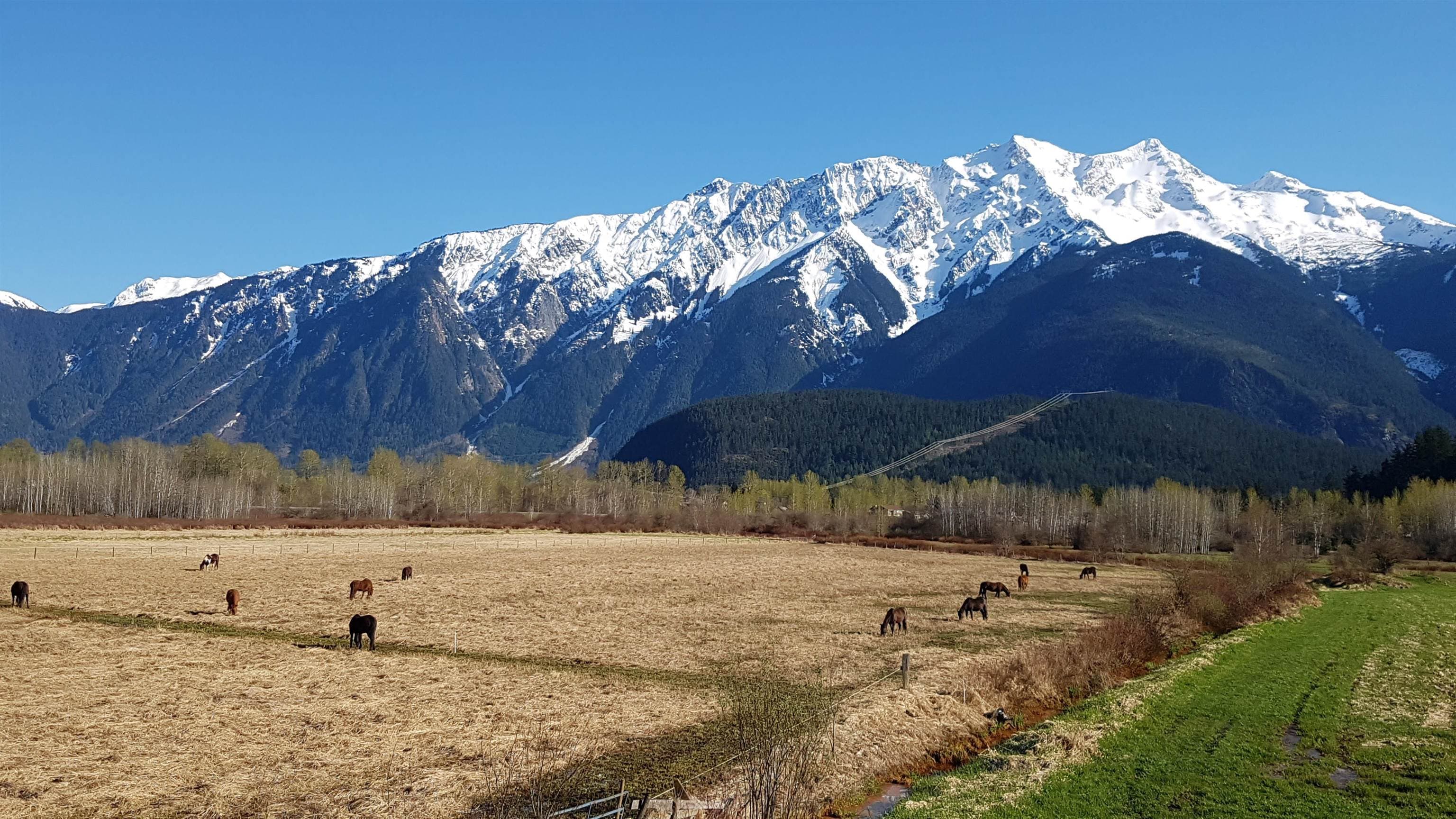 1380 Collins Road, Pemberton