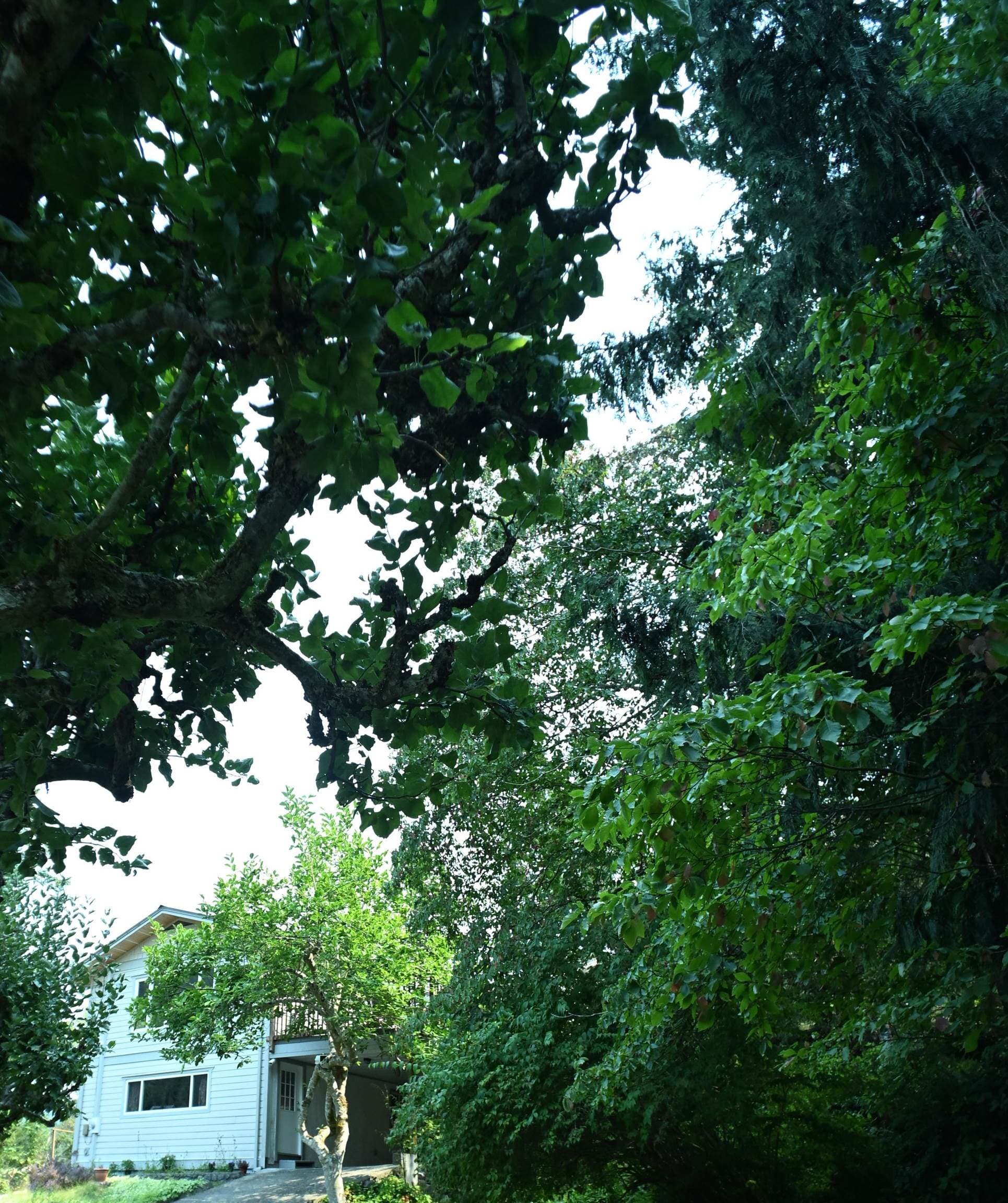 13096 Narrows Road, Madeira Park, V0N 2H1 — photo 1