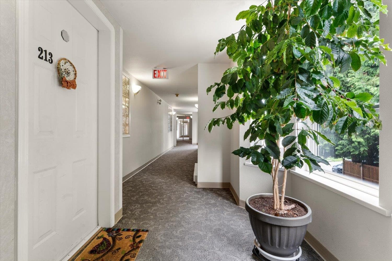 213 - 46693 Yale Road, Chilliwack, V2P 7Z4 — photo 5
