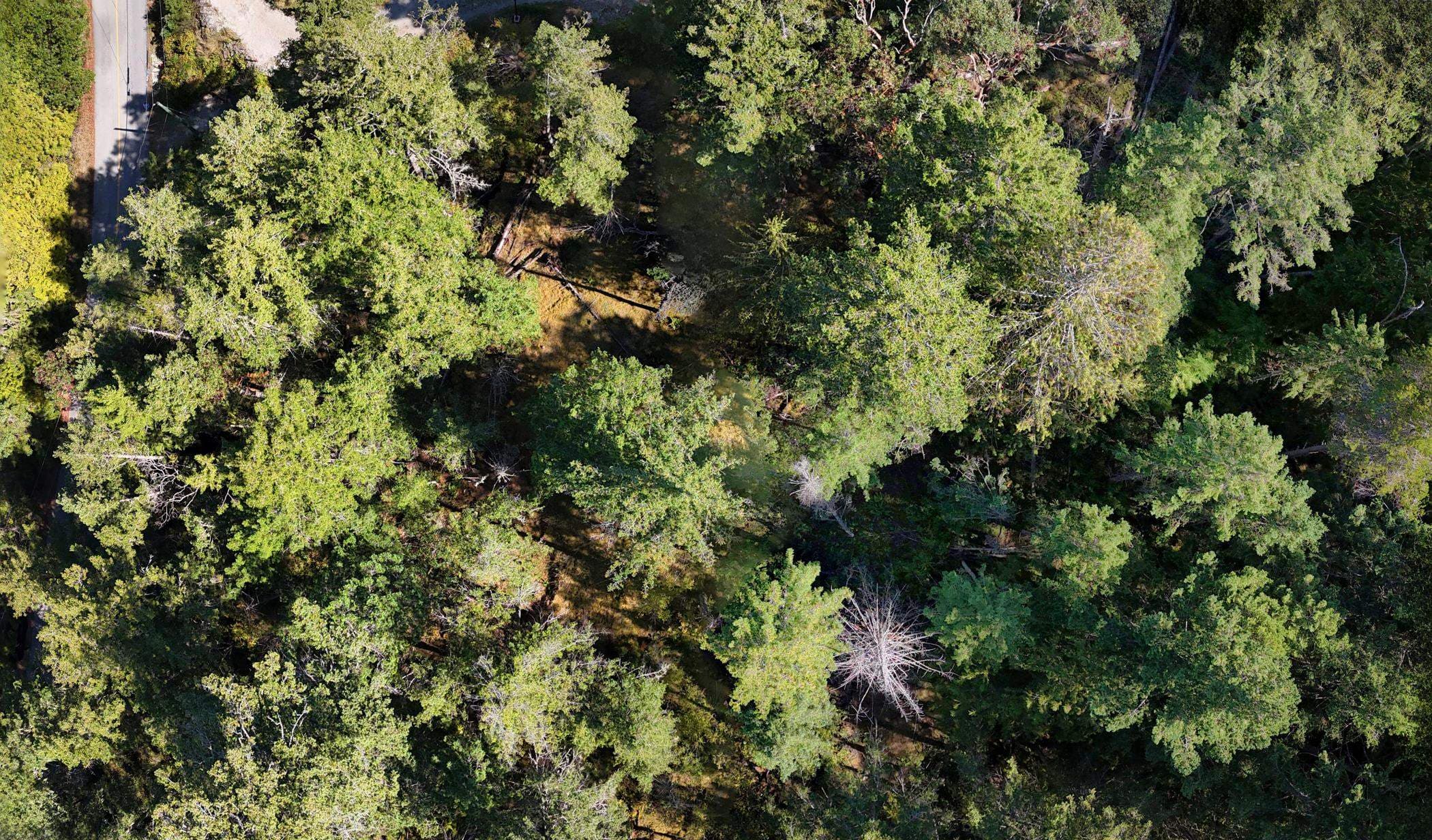 LOT B Francis Peninsula Road, Madeira Park, V0N 2H1 — photo 4