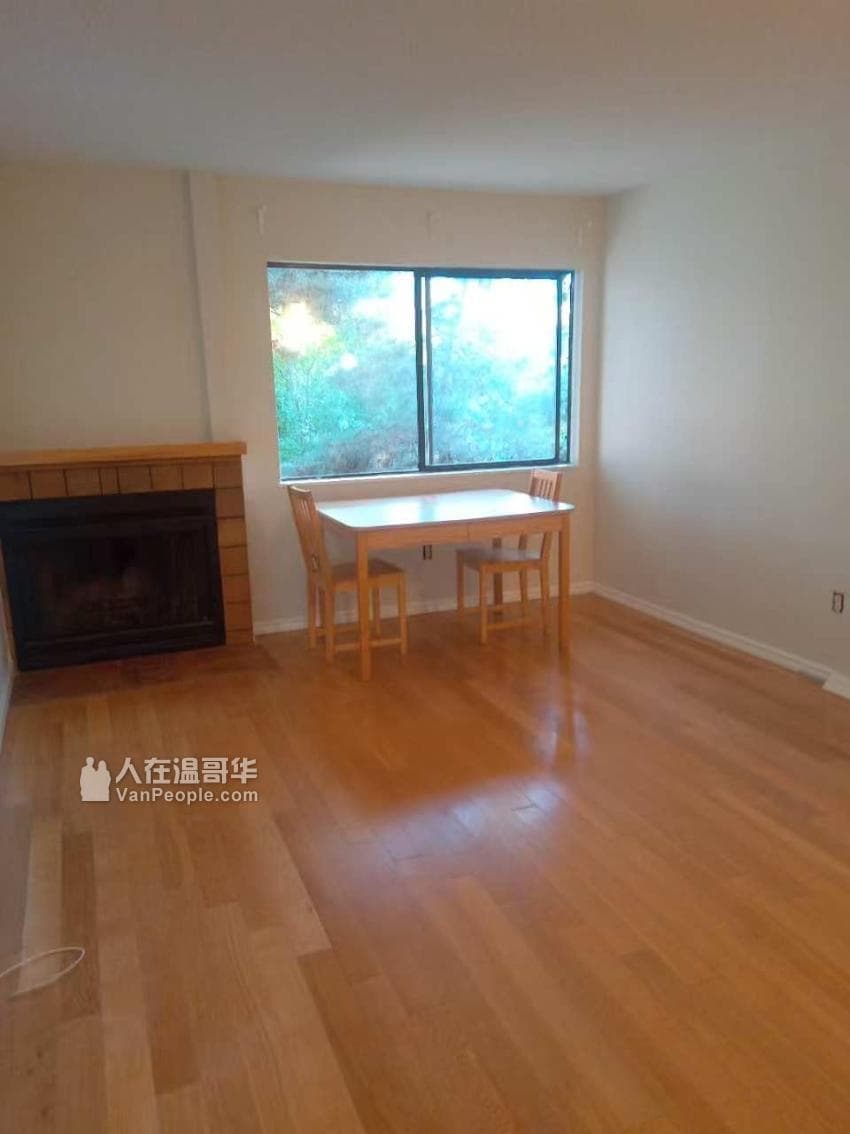 7297 Moffatt Road, Richmond, V6Y 3E6 — photo 3