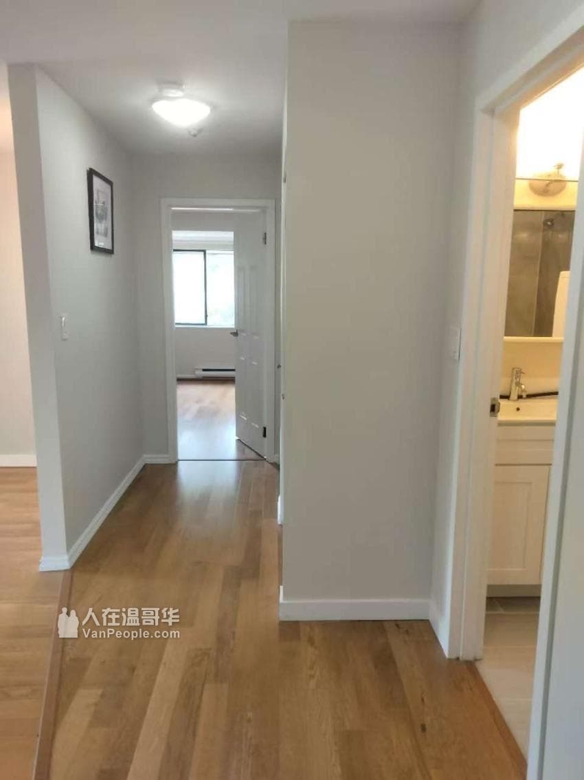 7297 Moffatt Road, Richmond, V6Y 3E6 — photo 5