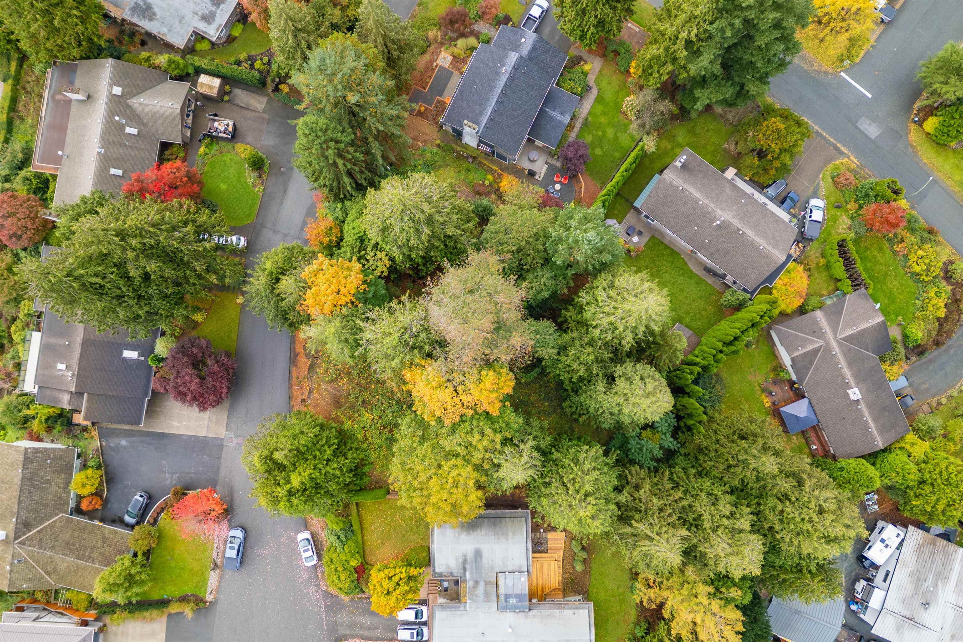 10035 Timberline Place, Chilliwack, V2P 7N9 — photo 5