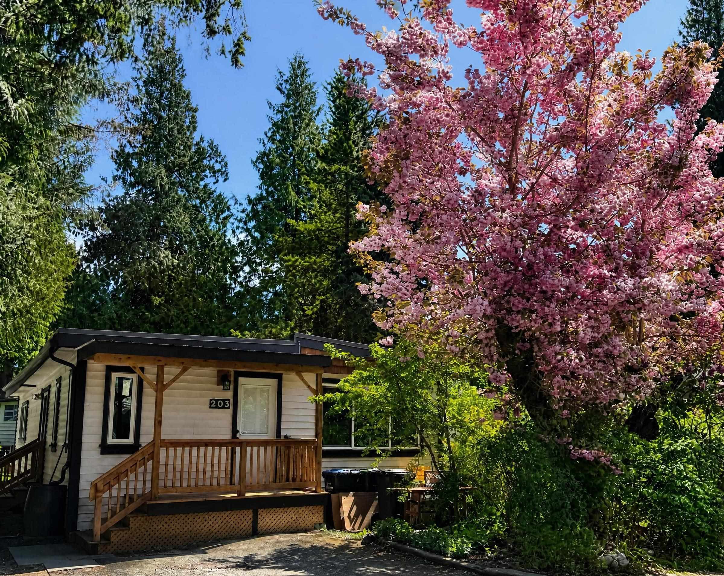 203 - 1830 Mamquam Road, Squamish, V0N 1T0 — photo 1