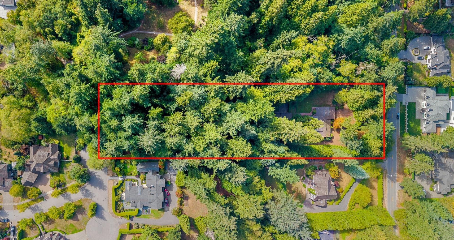 13912 28 Avenue, Surrey, V4P 1T4 — photo 5
