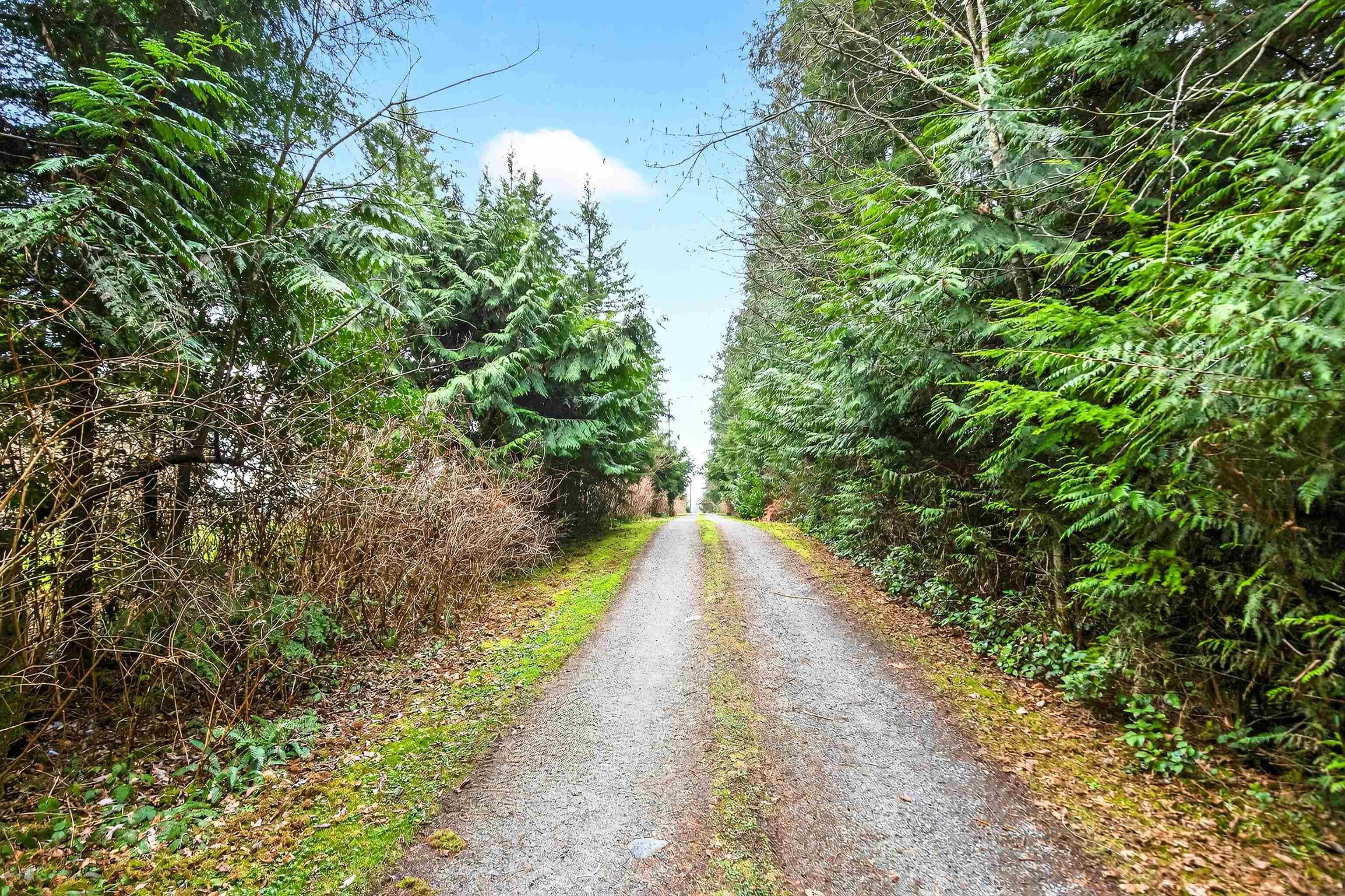 29907 Dewdney Trunk Road, Mission, V4S 1B7 — photo 5