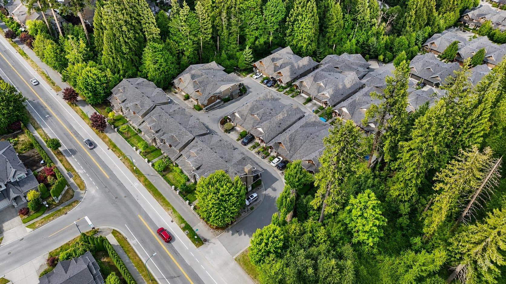 105 - 3450 David Avenue, Coquitlam, V3E 0B8 — photo 2