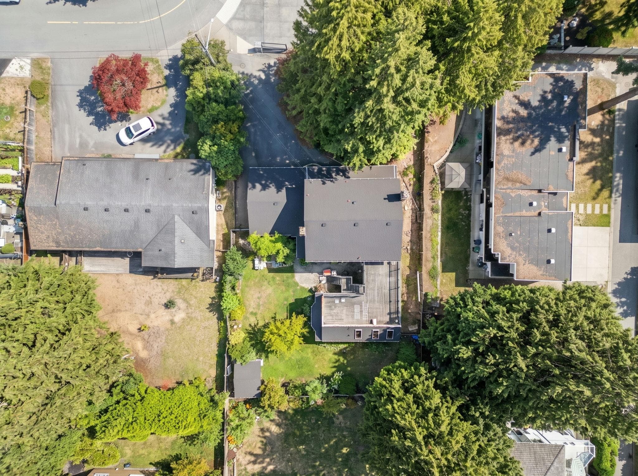 416 Fairway Street, Coquitlam, V3K 4G2 — photo 5