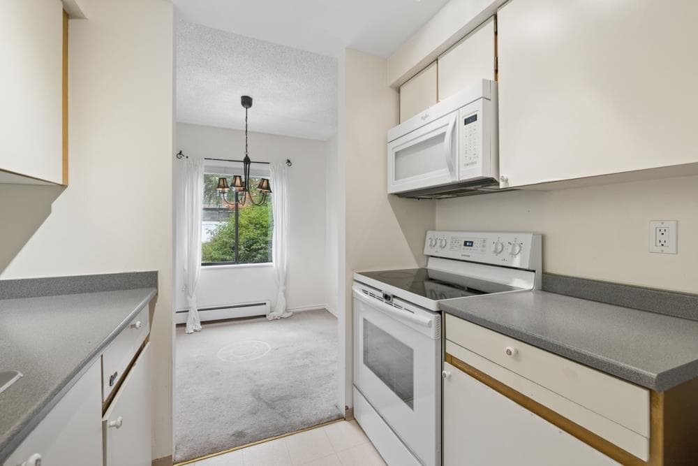 203 - 1177 Howie Avenue, Coquitlam, V3J 1T9 — photo 3