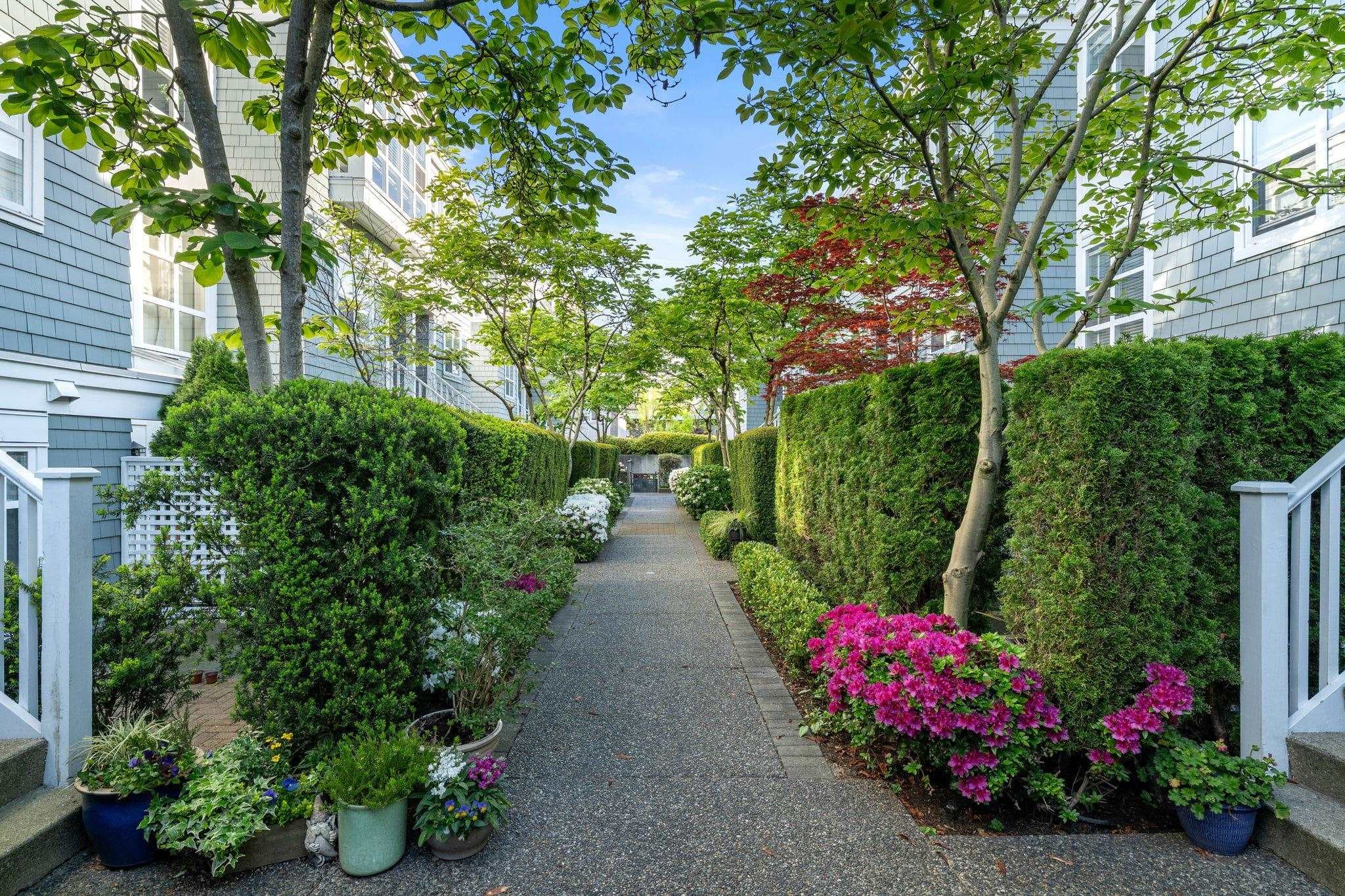 207 - 669 W 7th Avenue, Vancouver, V5Z 1B6 — photo 3