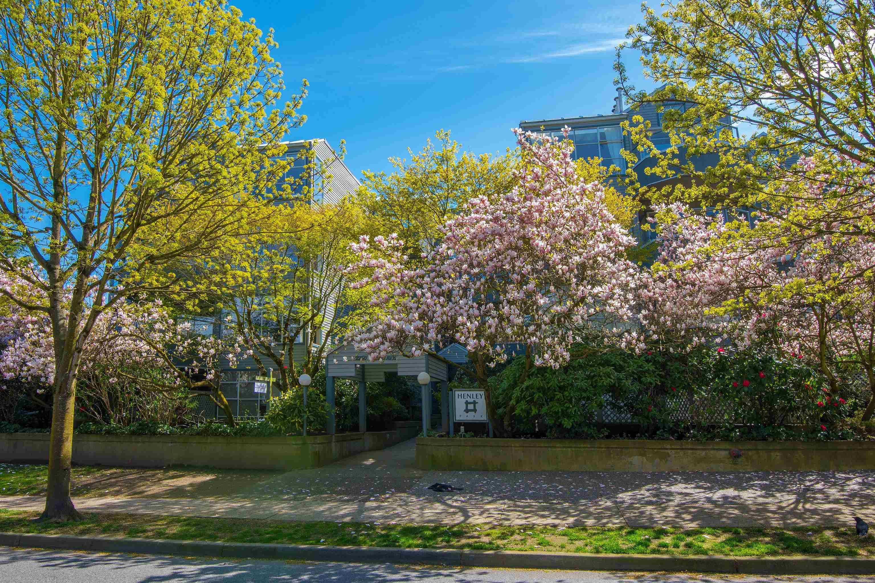 301 - 2250 W 3rd Avenue, Vancouver, V6K 1L4 — photo 2
