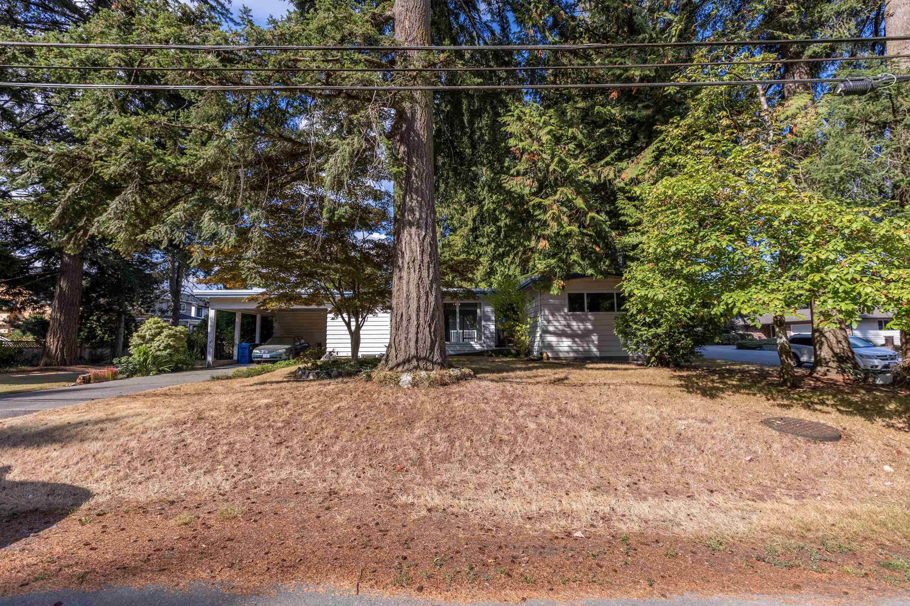 2745 Ash Street, Abbotsford, V2S 4E9 — photo 5