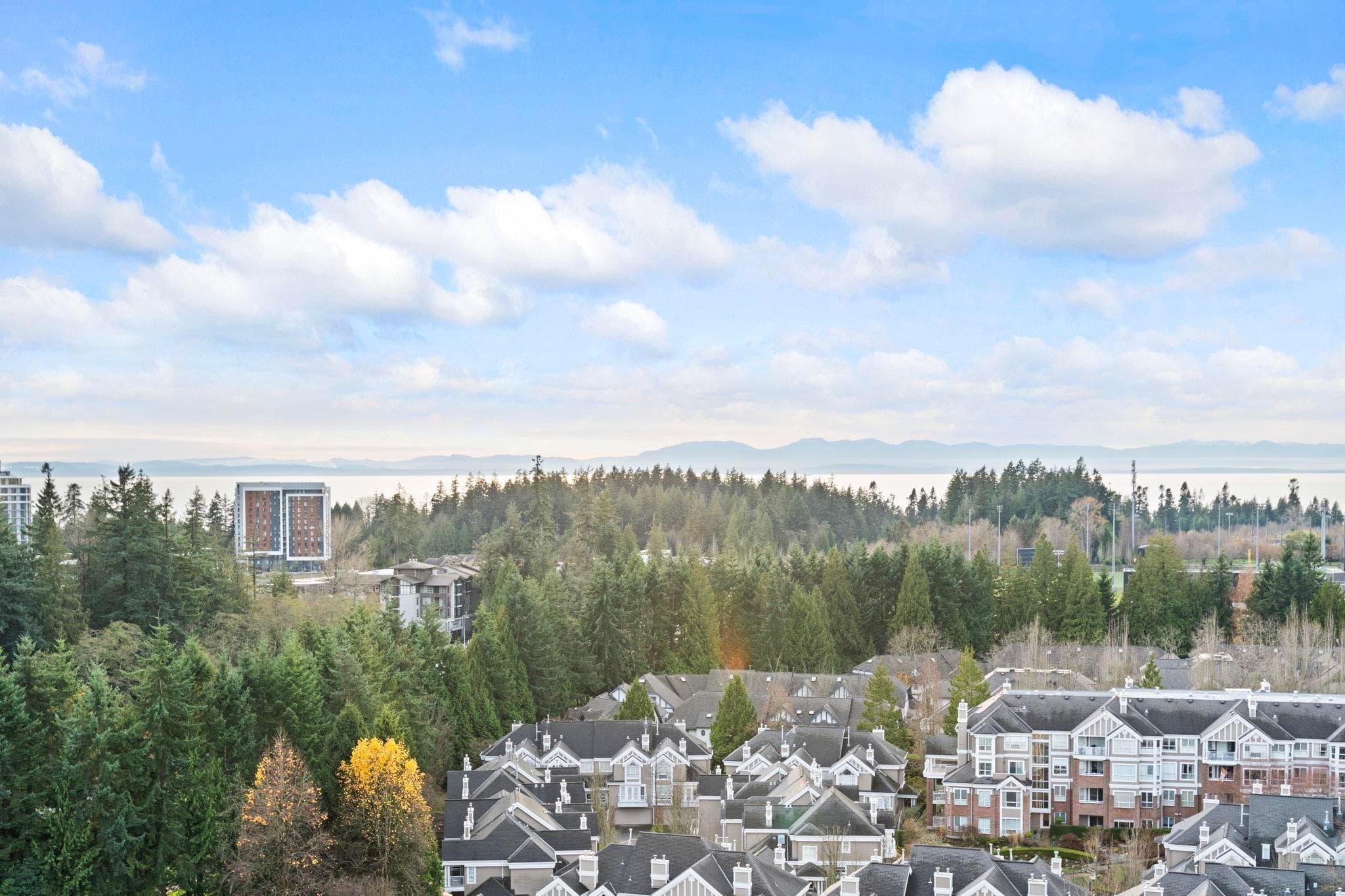1700 - 5615 Hampton Place, Vancouver, V6T 2H1 — photo 4