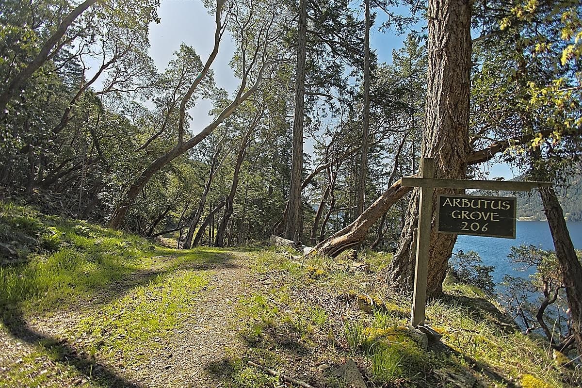 206 Narrows West Road, Salt Spring Island, V8K 0A3 — photo 3