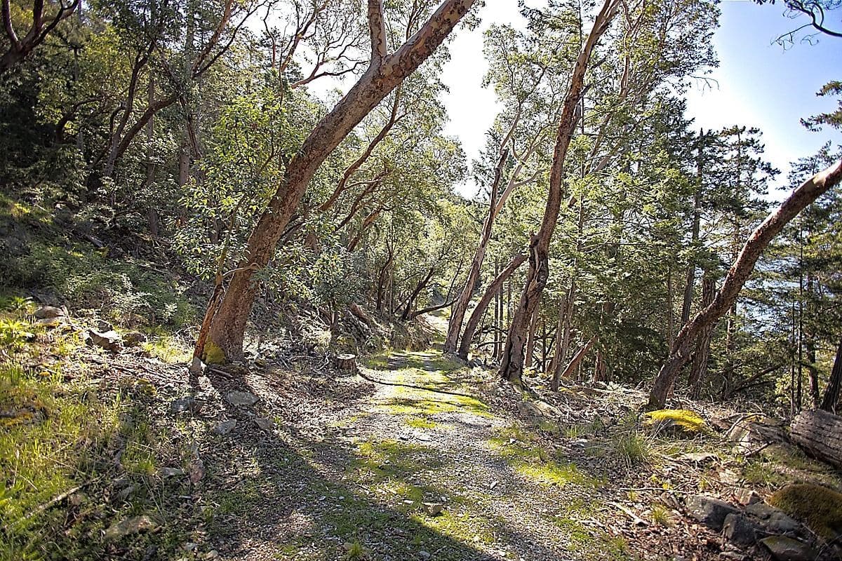 206 Narrows West Road, Salt Spring Island, V8K 0A3 — photo 5